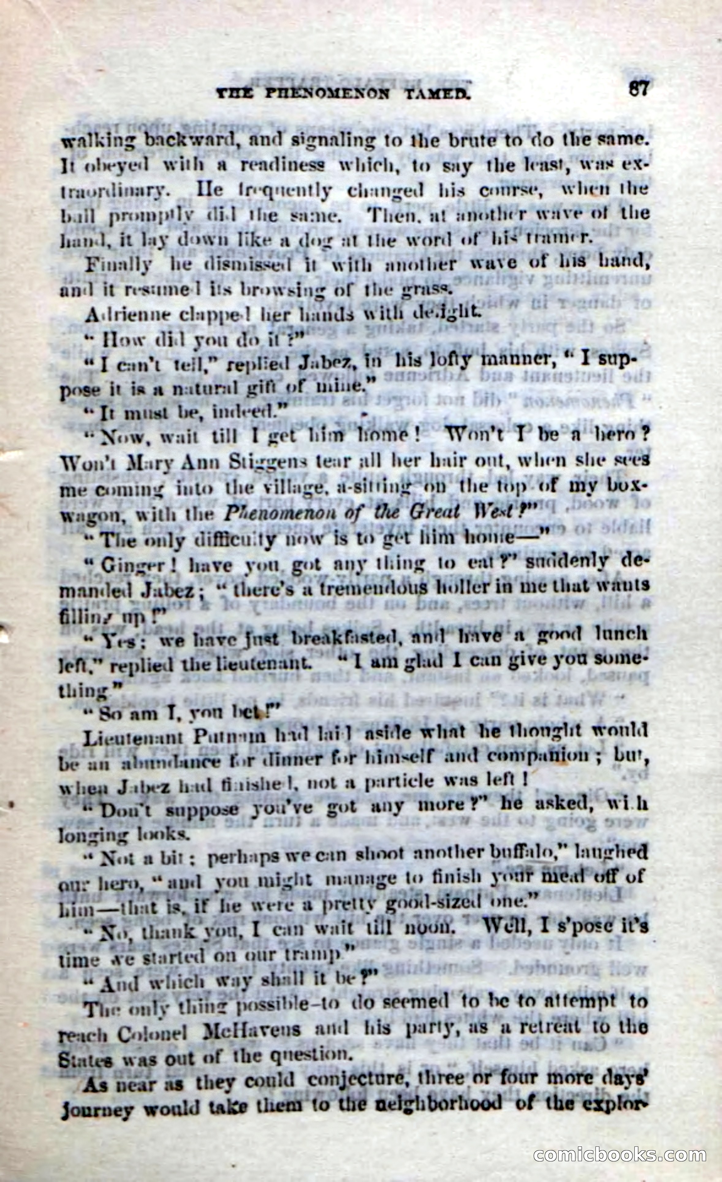 The Buffalo-Trapper — page 85 of 100