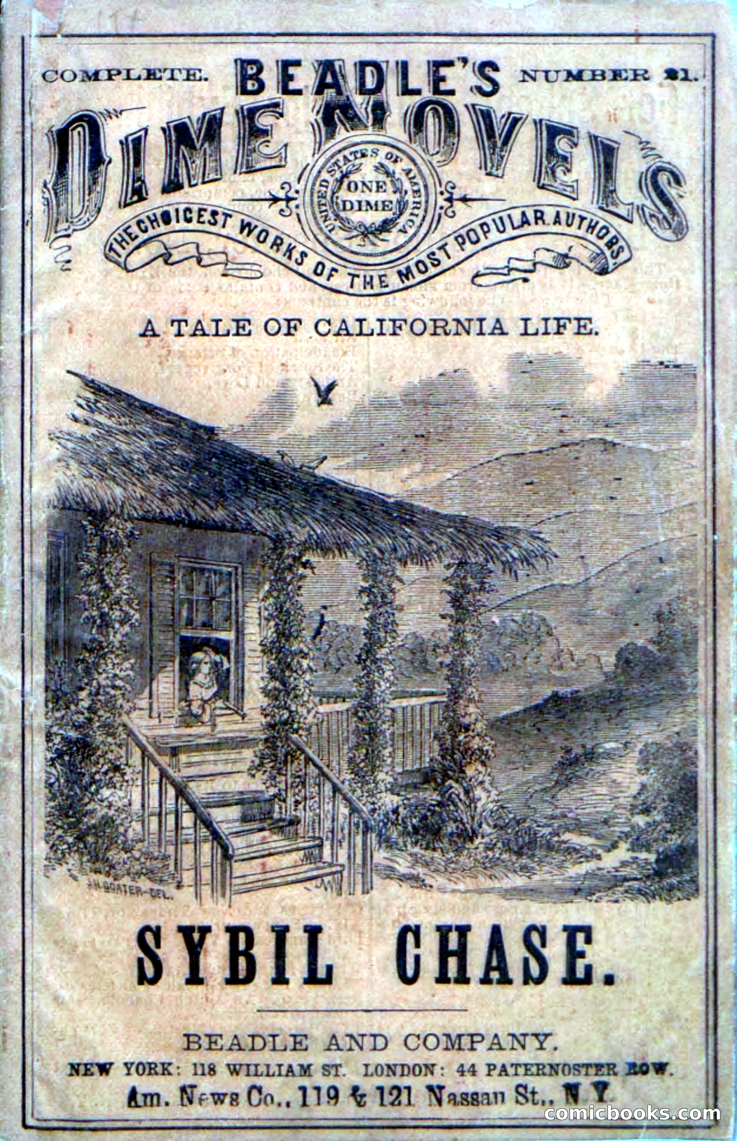Beadle's Dime Novels No. 21 — page 1 of 128