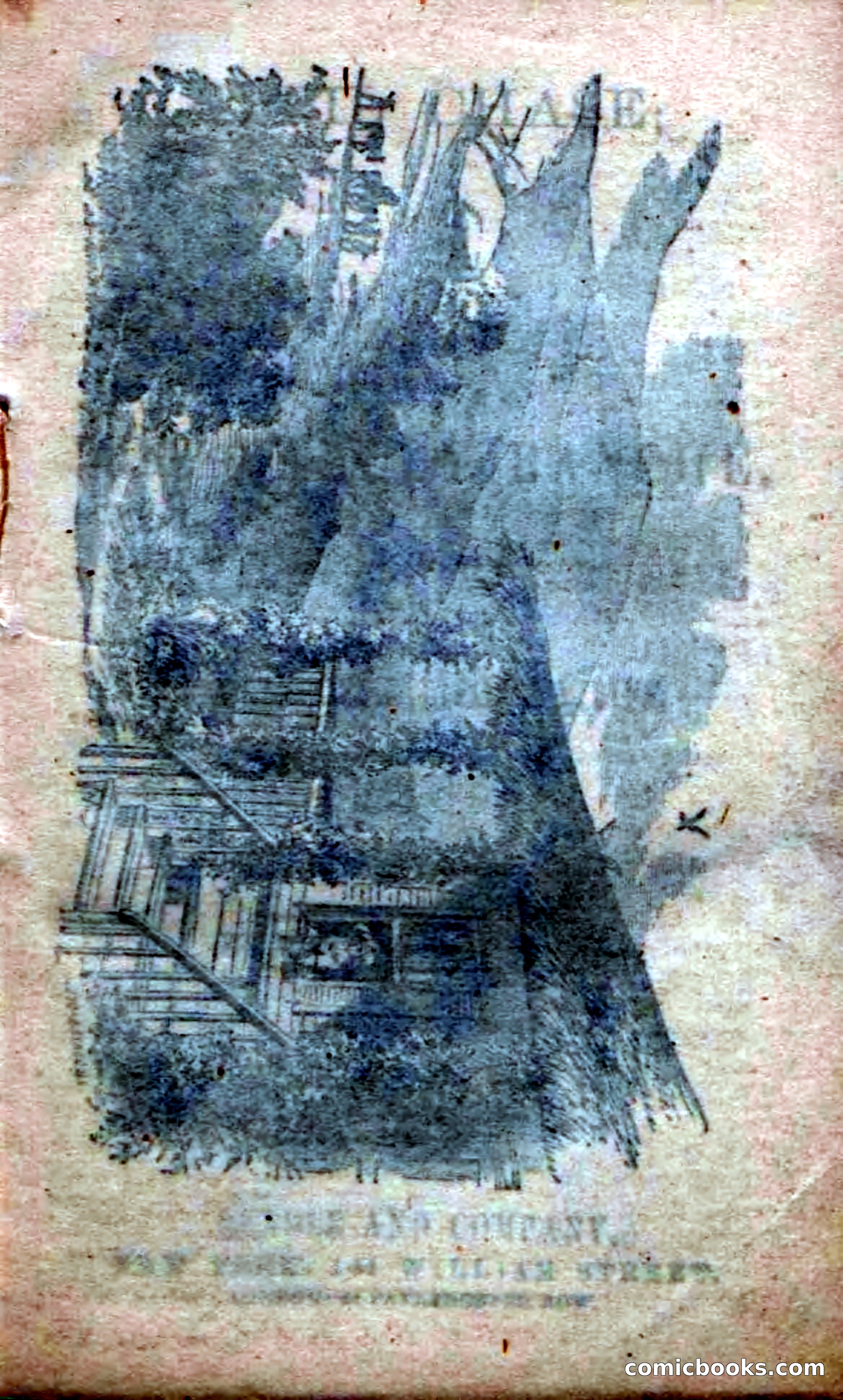 Beadle's Dime Novels No. 21 — page 3 of 128