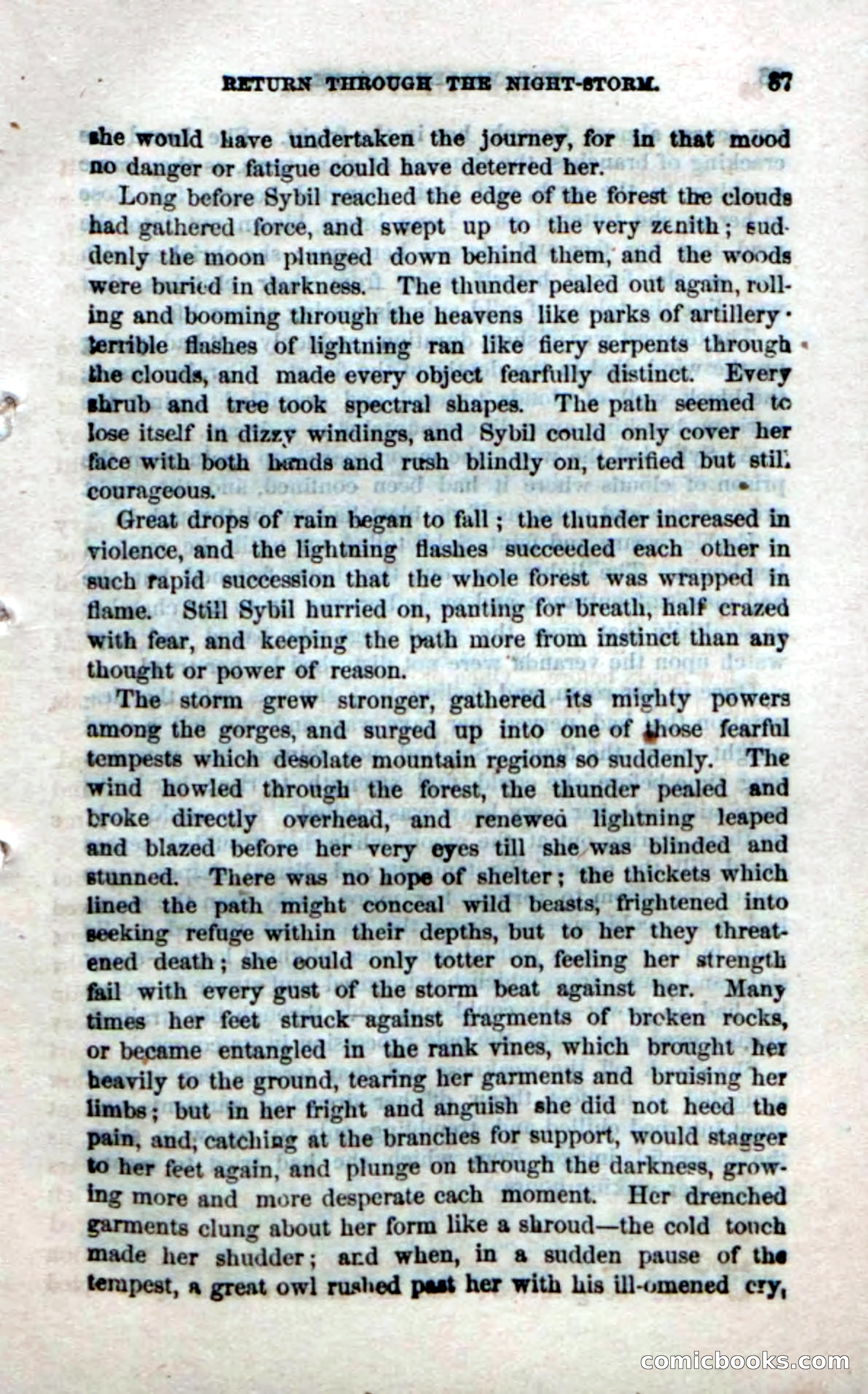 Beadle's Dime Novels No. 21 — page 39 of 128
