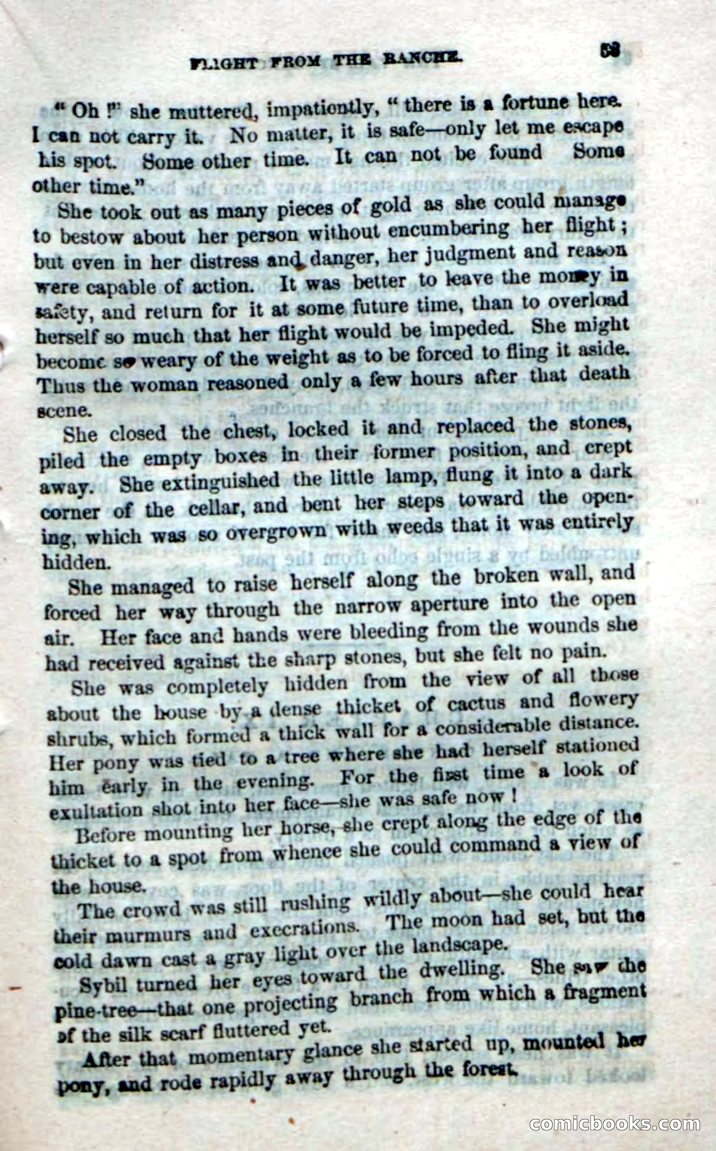 Beadle's Dime Novels No. 21 — page 55 of 128