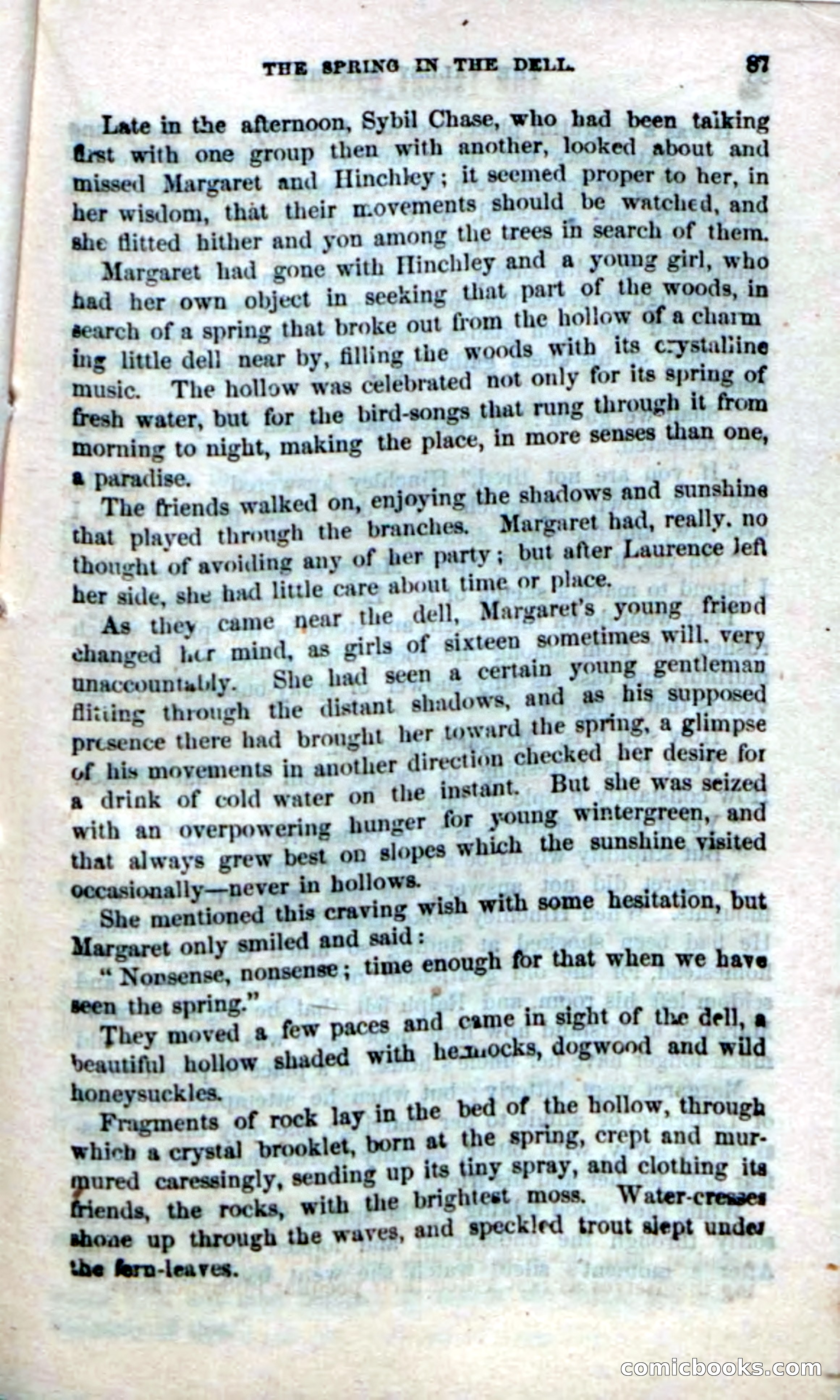 Beadle's Dime Novels No. 21 — page 89 of 128