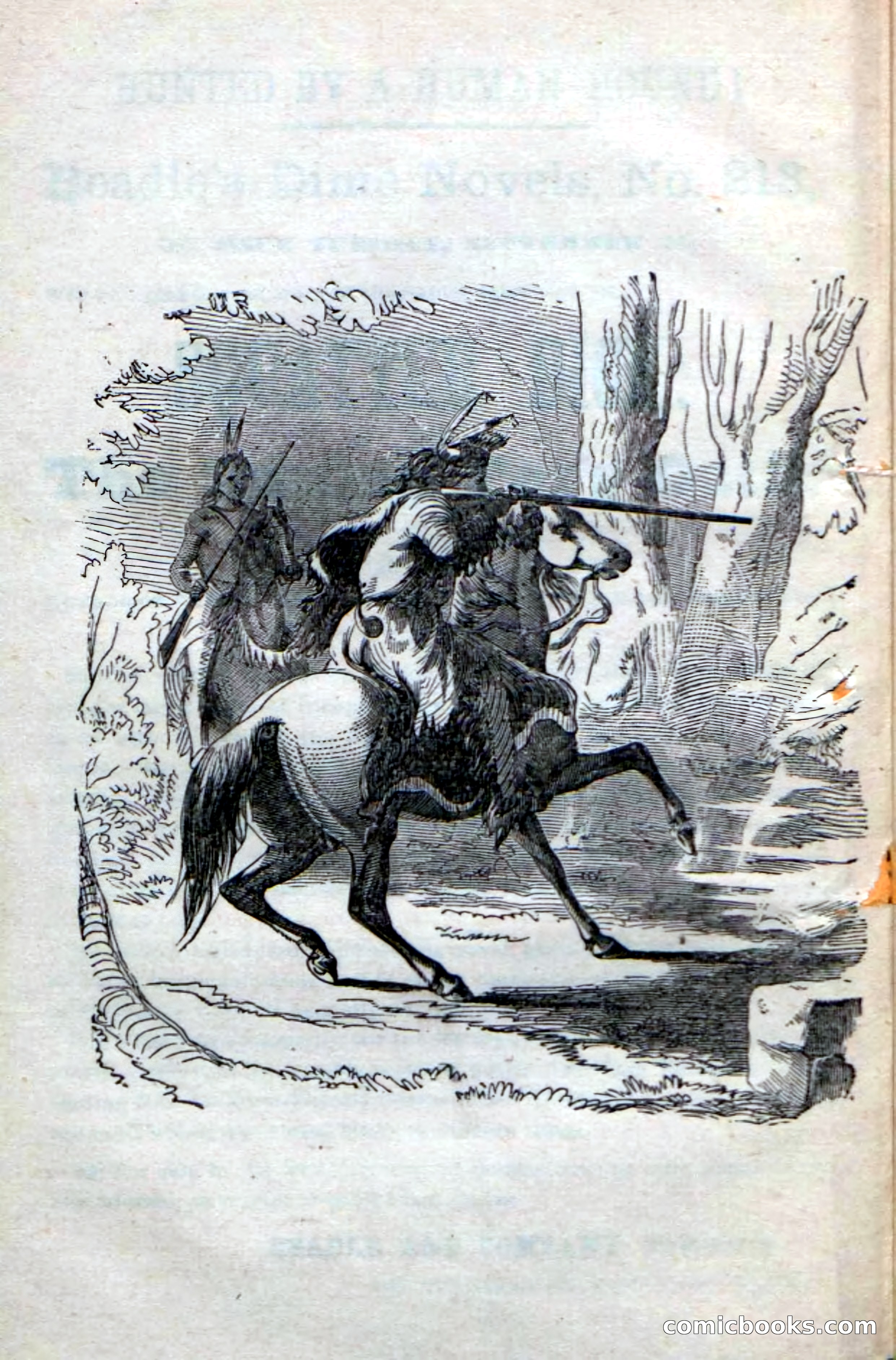 Beadle's Dime Novels No. 212: Silverspur — page 4 of 100