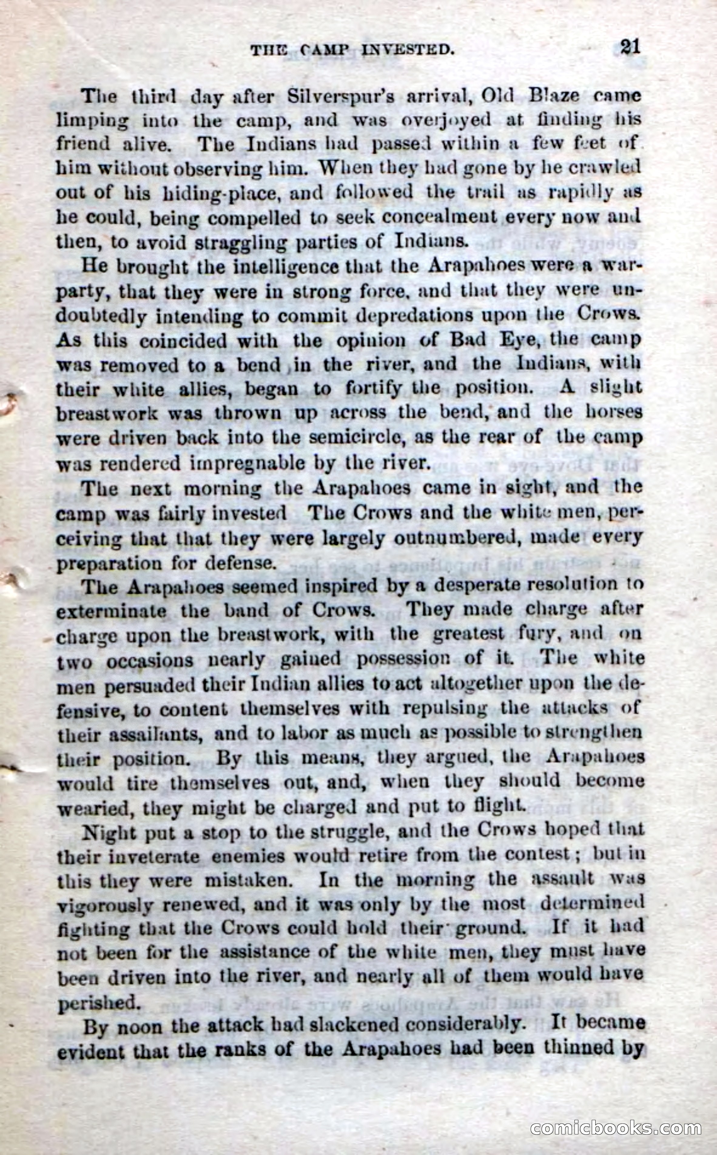 Beadle's Dime Novels No. 212: Silverspur — page 19 of 100