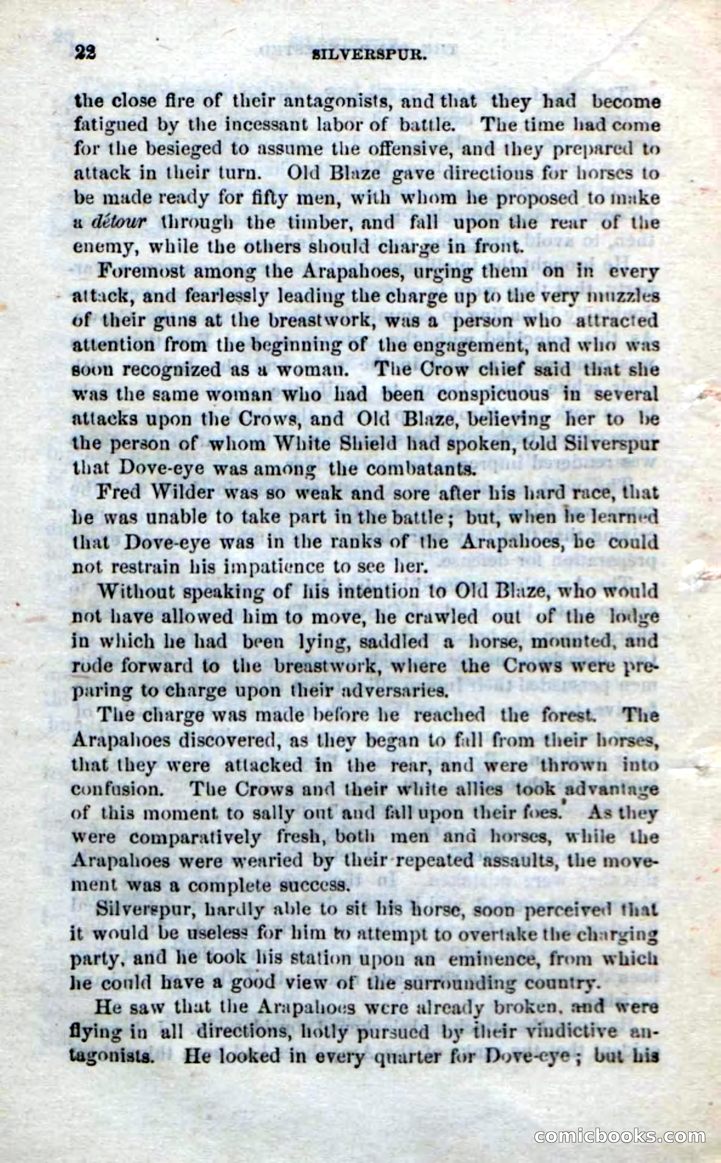 Beadle's Dime Novels No. 212: Silverspur — page 20 of 100