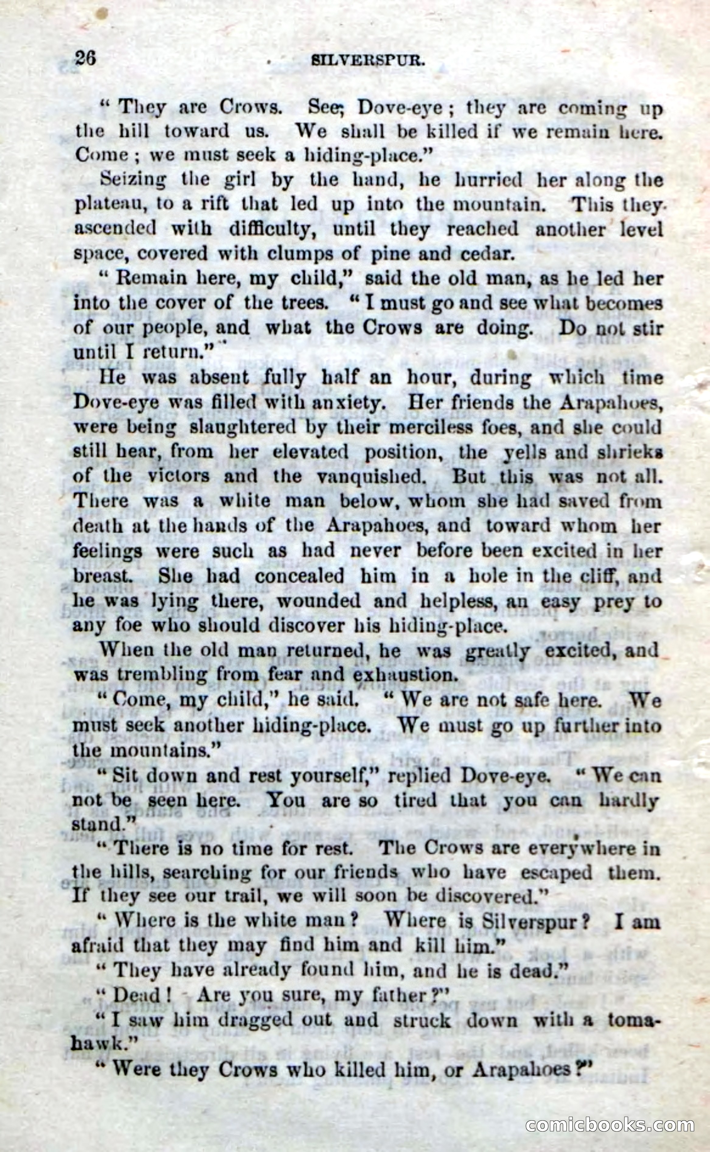 Beadle's Dime Novels No. 212: Silverspur — page 24 of 100