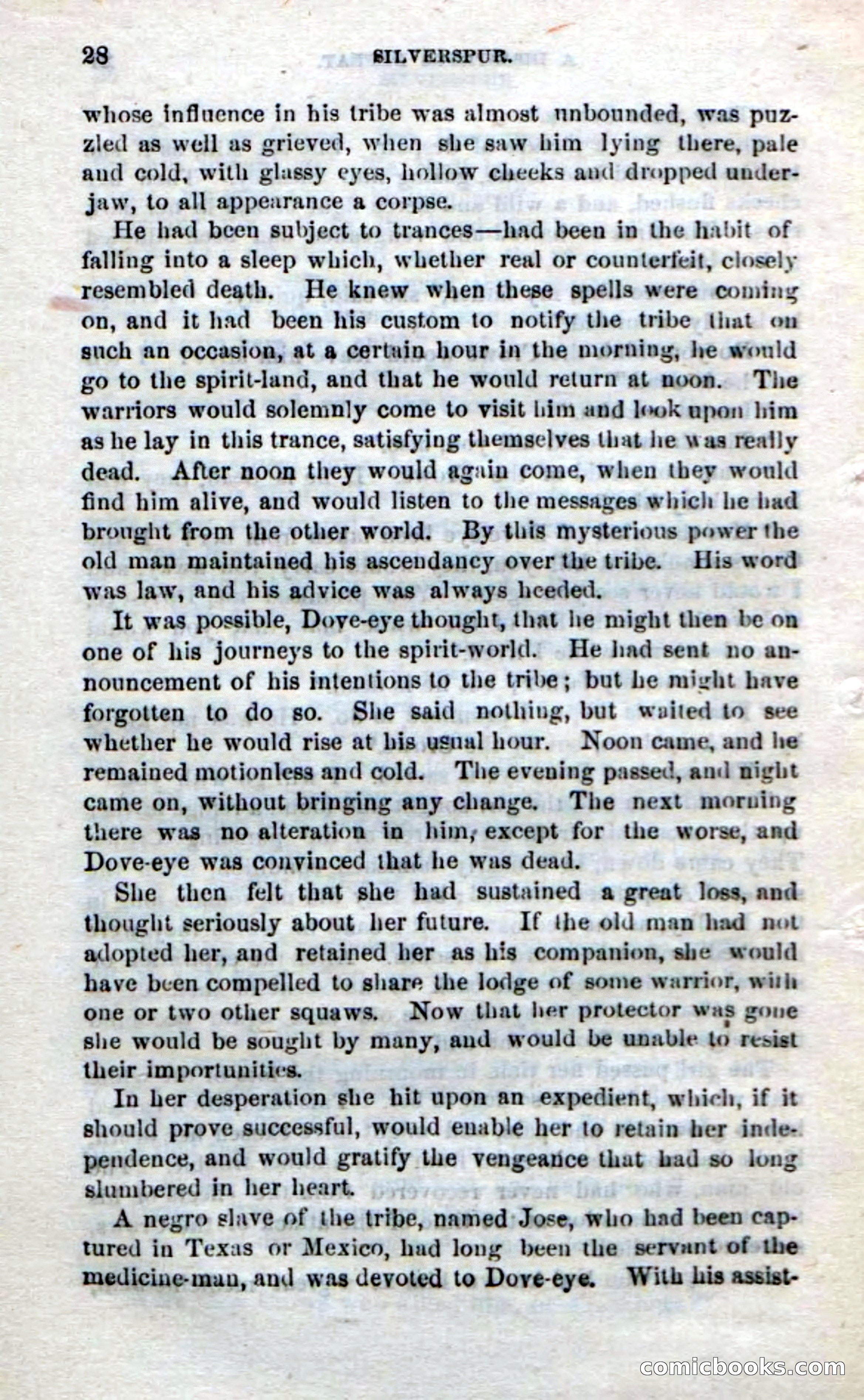 Beadle's Dime Novels No. 212: Silverspur — page 26 of 100