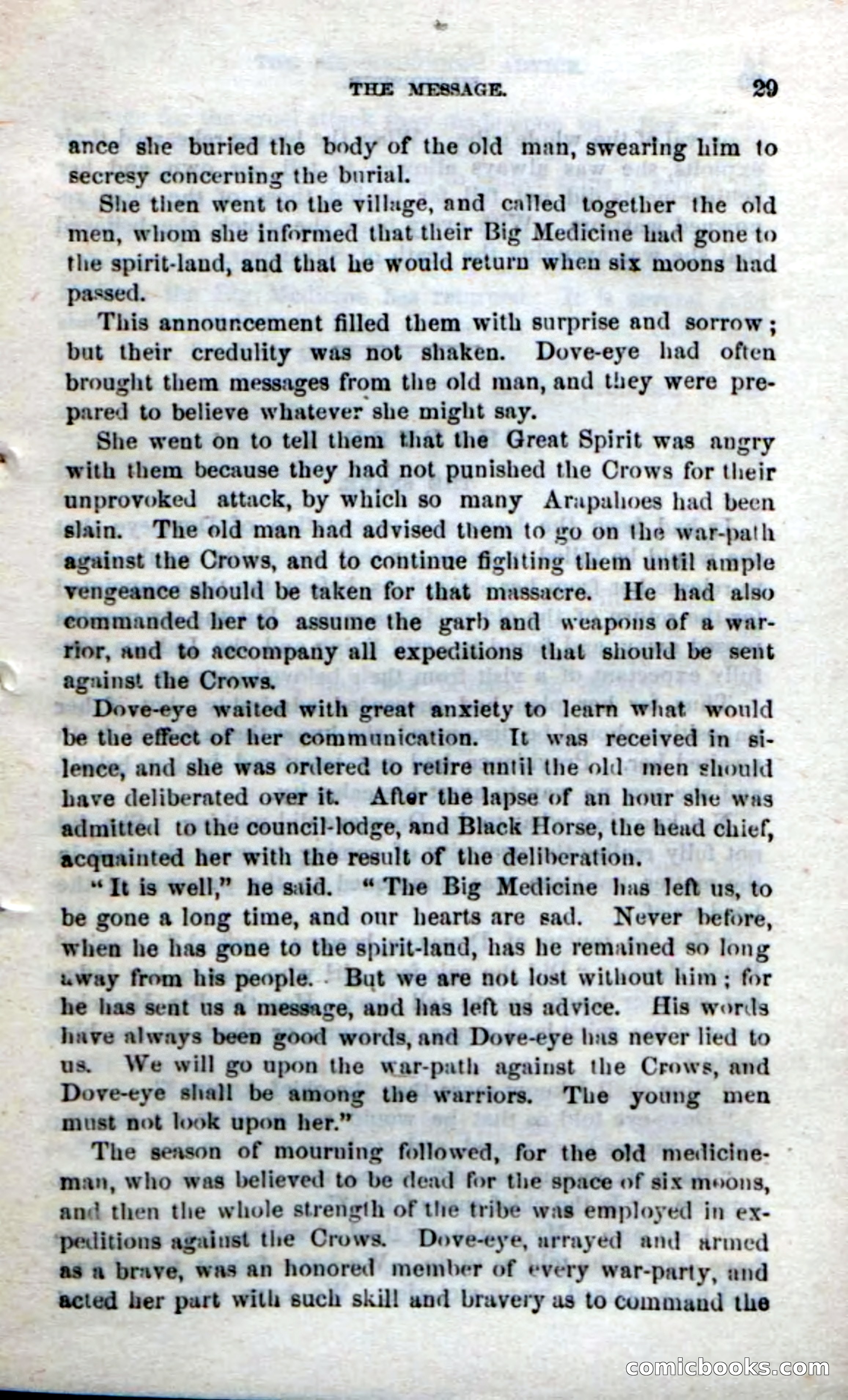 Beadle's Dime Novels No. 212: Silverspur — page 27 of 100