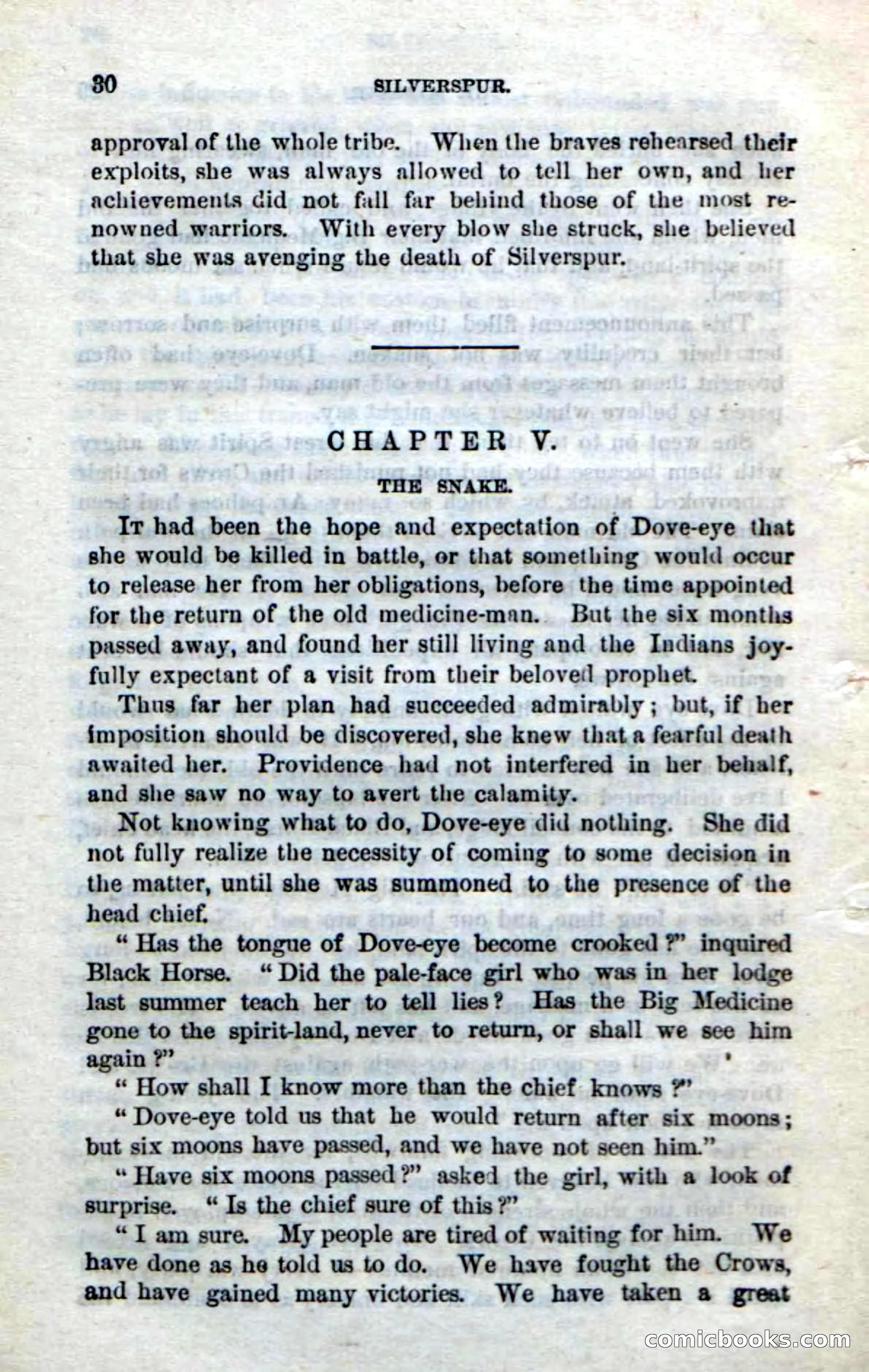 Beadle's Dime Novels No. 212: Silverspur — page 28 of 100