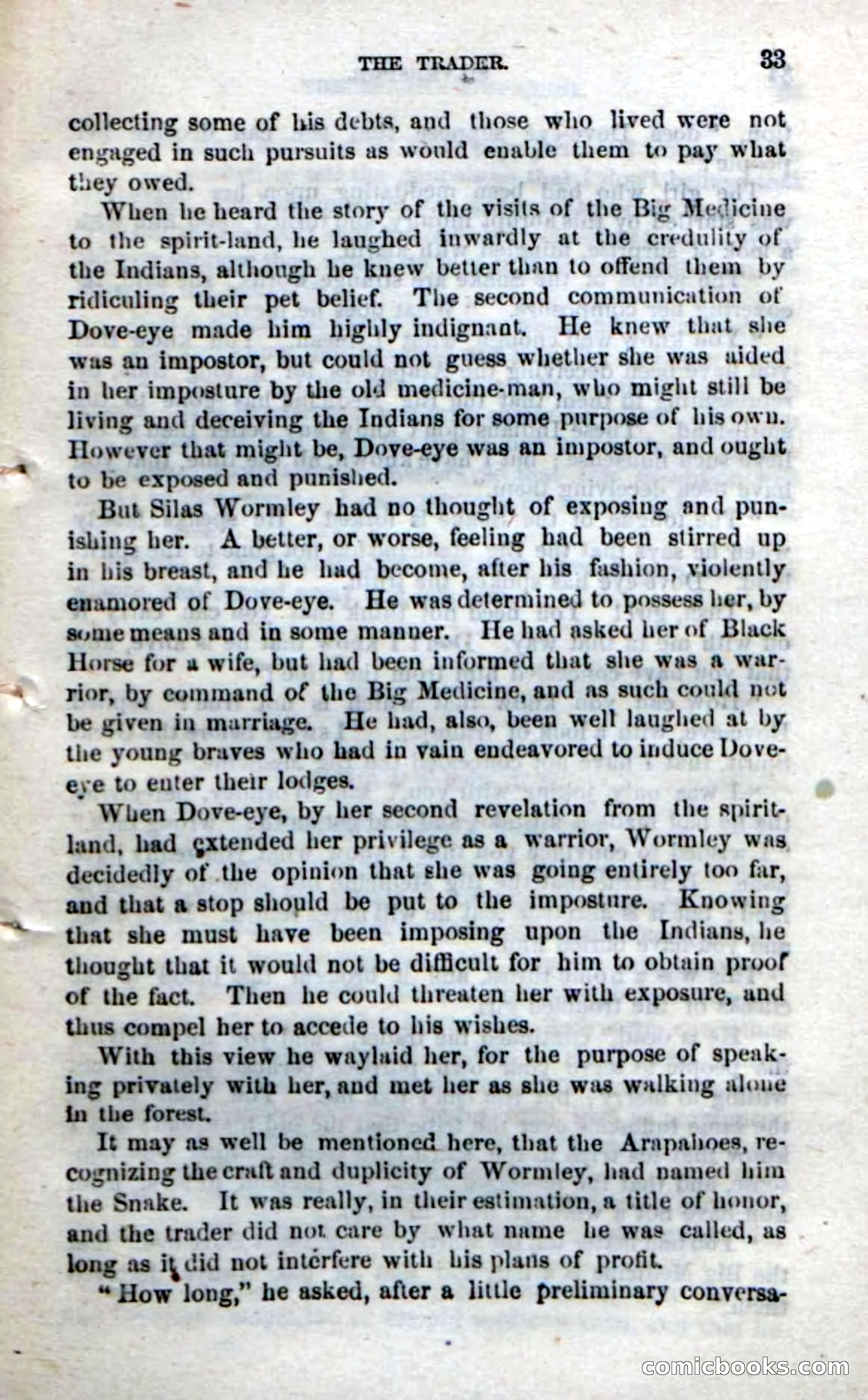 Beadle's Dime Novels No. 212: Silverspur — page 31 of 100