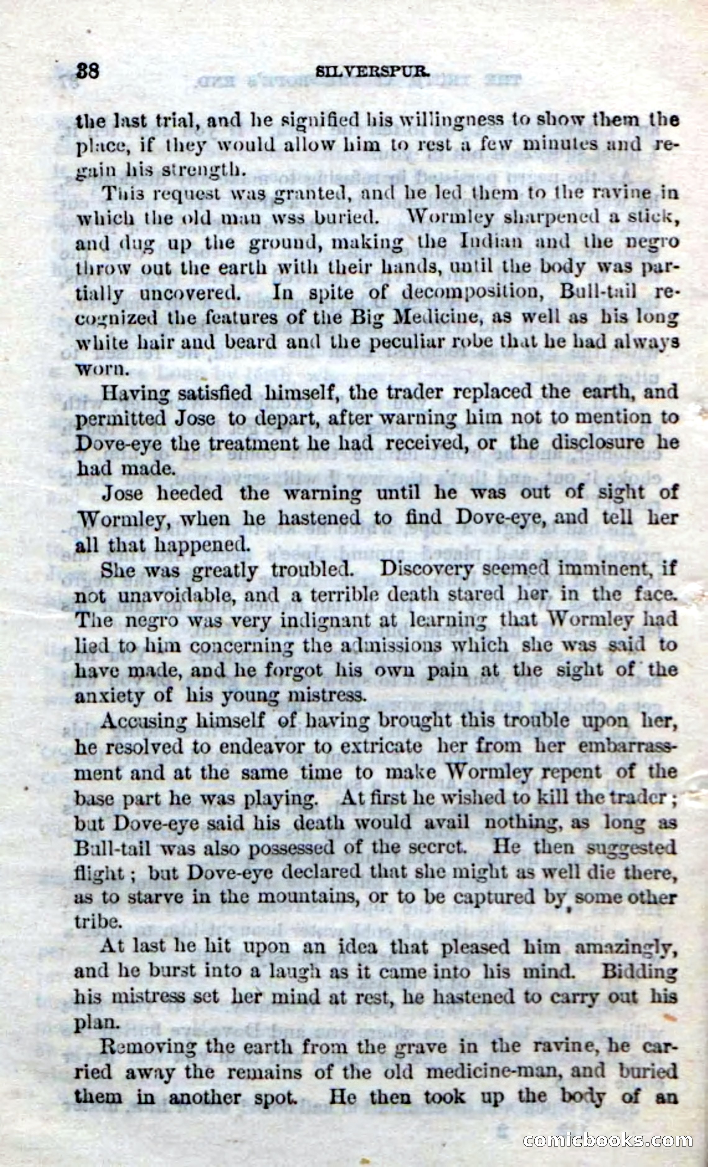 Beadle's Dime Novels No. 212: Silverspur — page 36 of 100