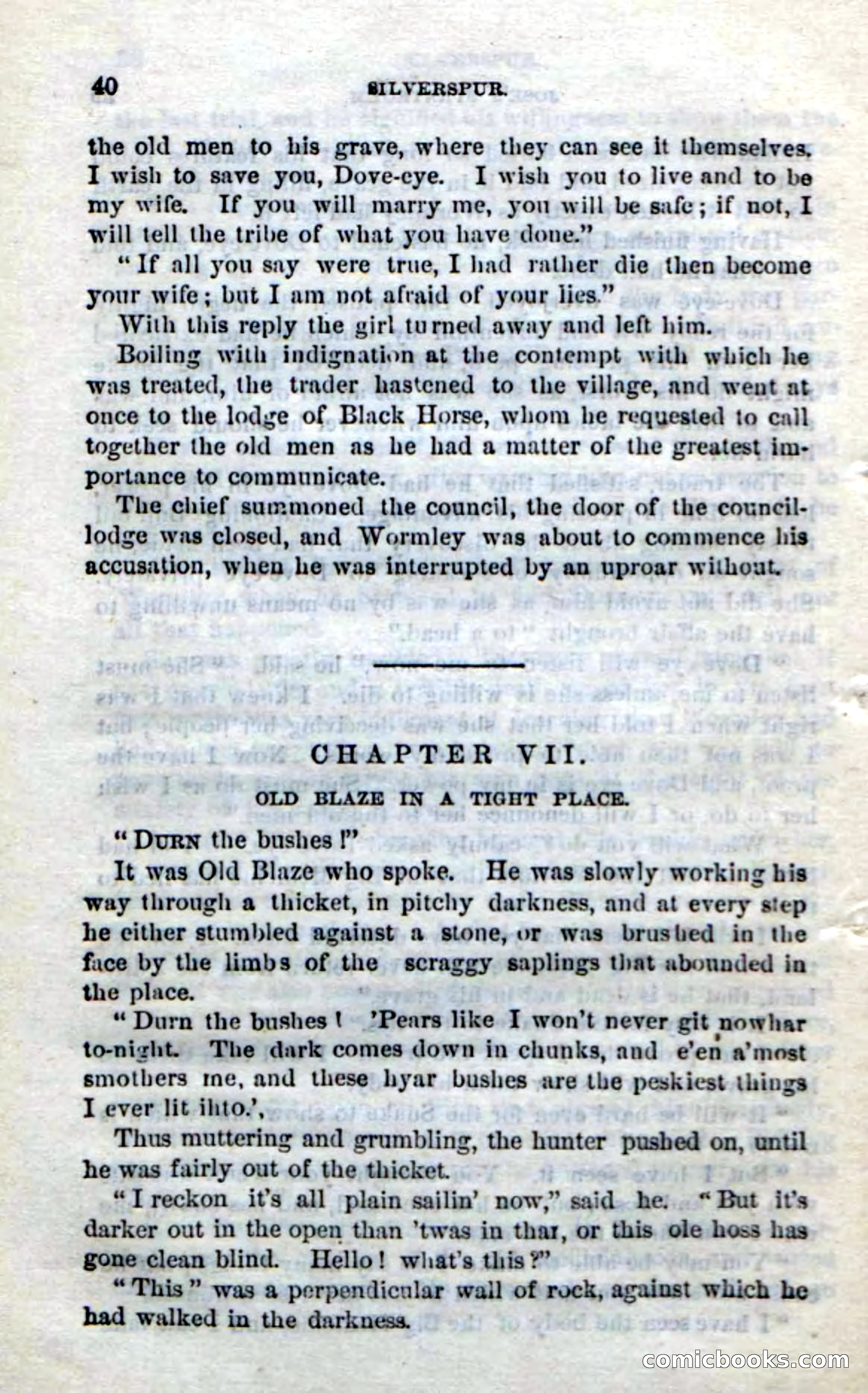 Beadle's Dime Novels No. 212: Silverspur — page 38 of 100