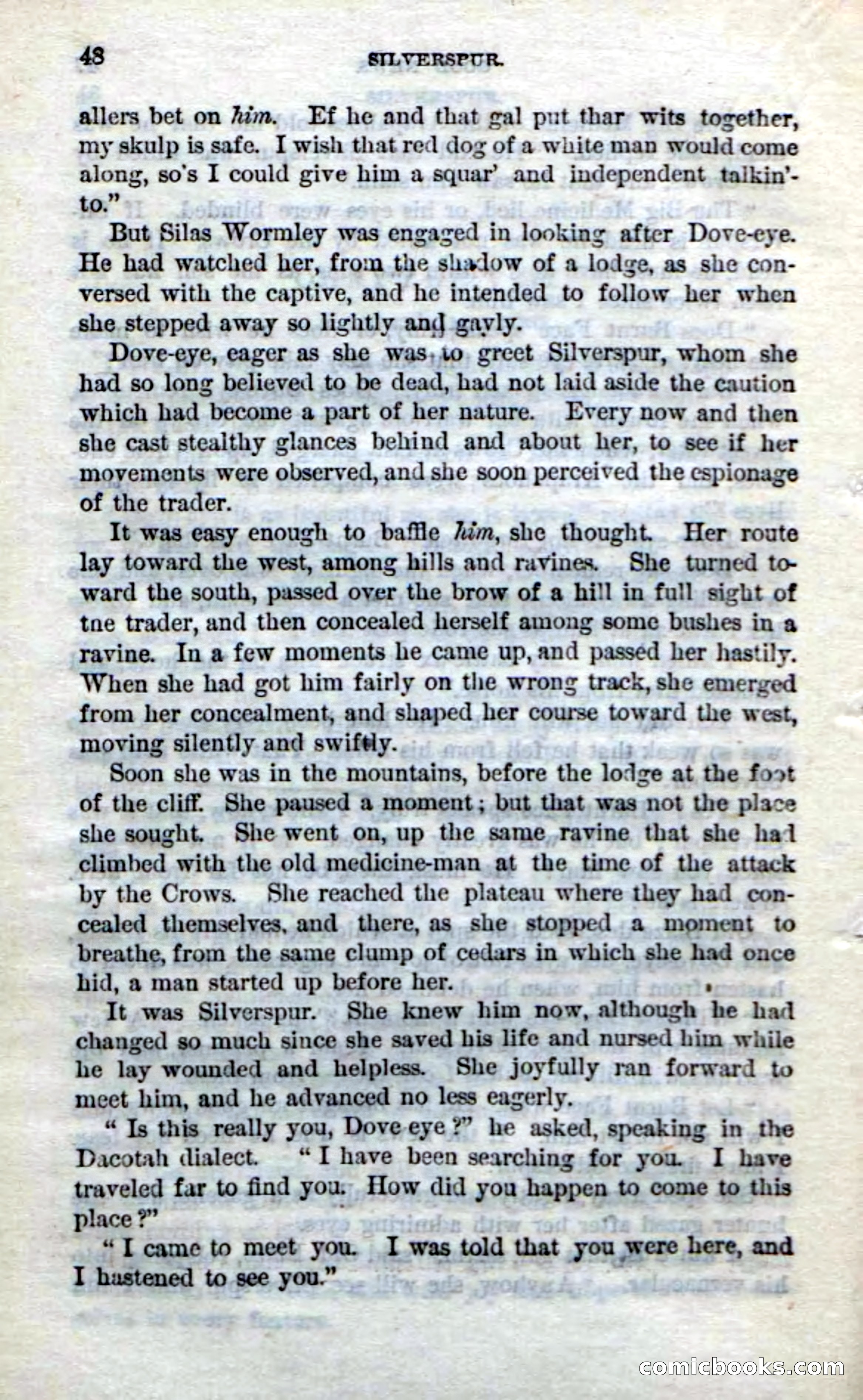 Beadle's Dime Novels No. 212: Silverspur — page 46 of 100