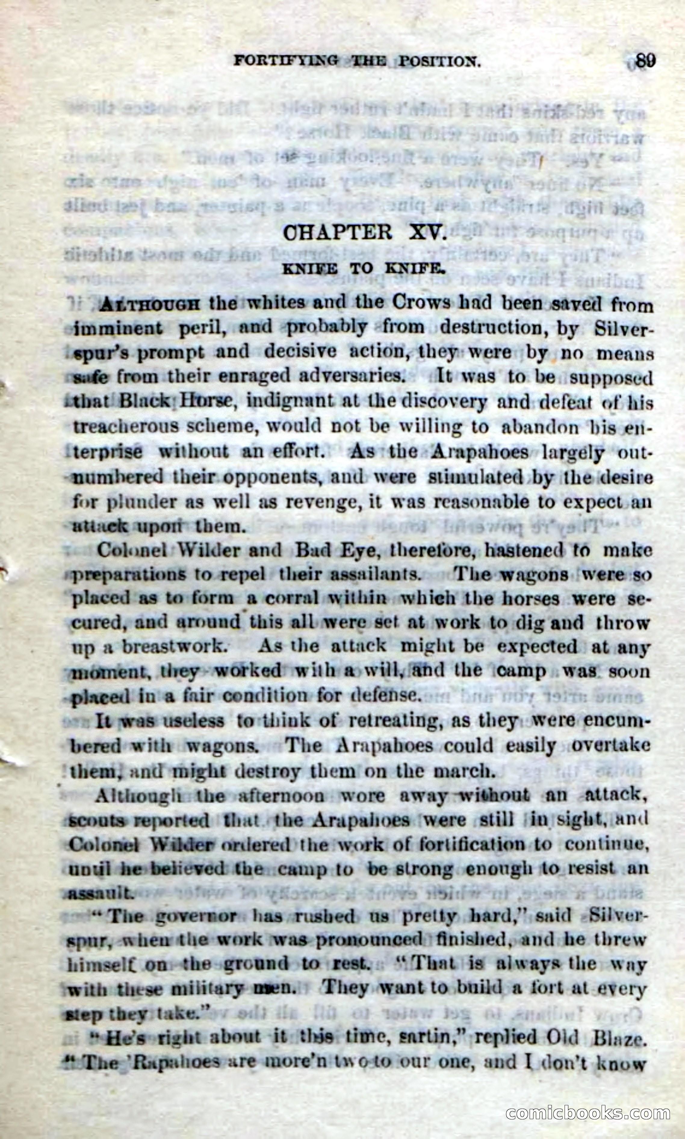 Beadle's Dime Novels No. 212: Silverspur — page 87 of 100