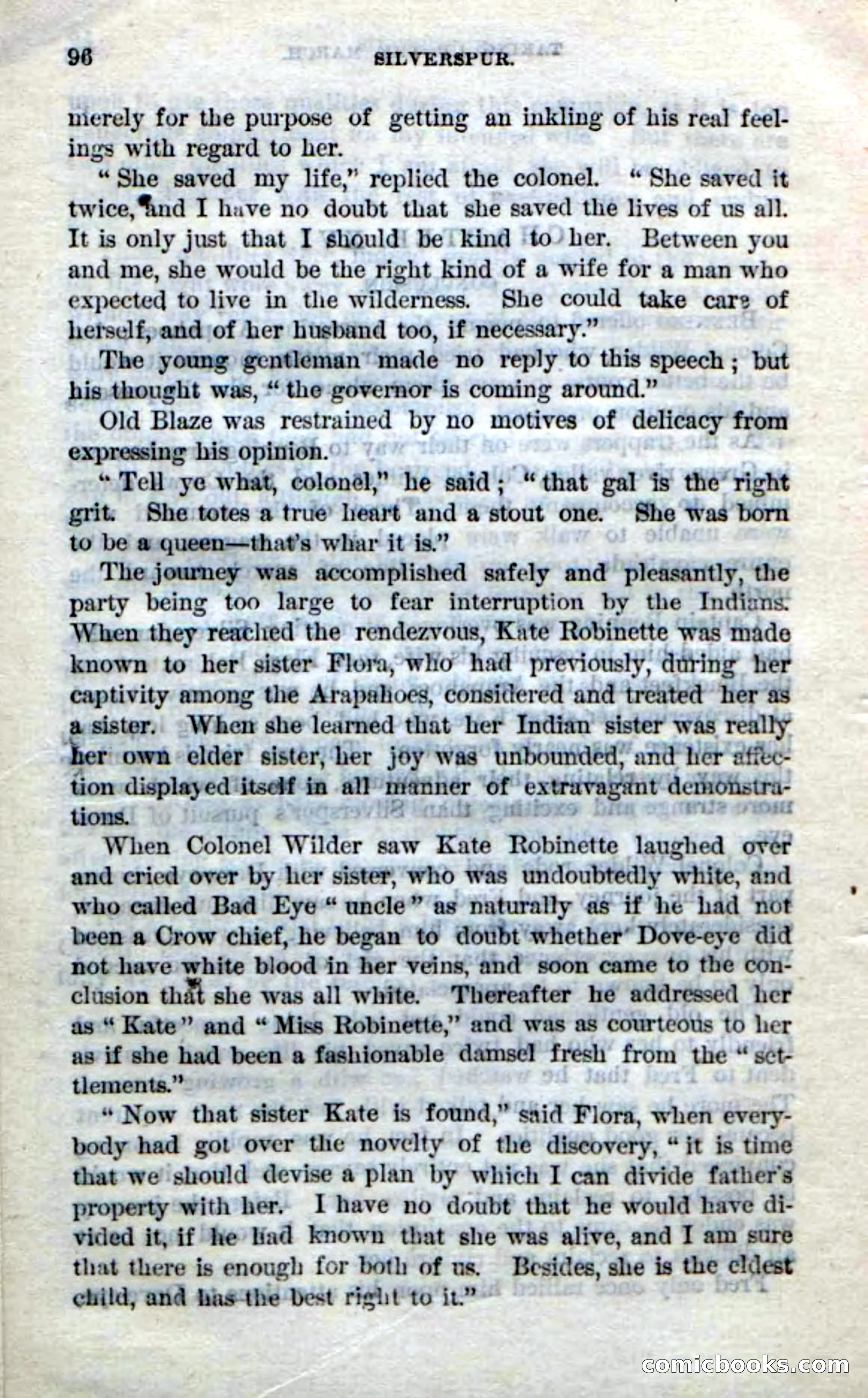 Beadle's Dime Novels No. 212: Silverspur — page 94 of 100