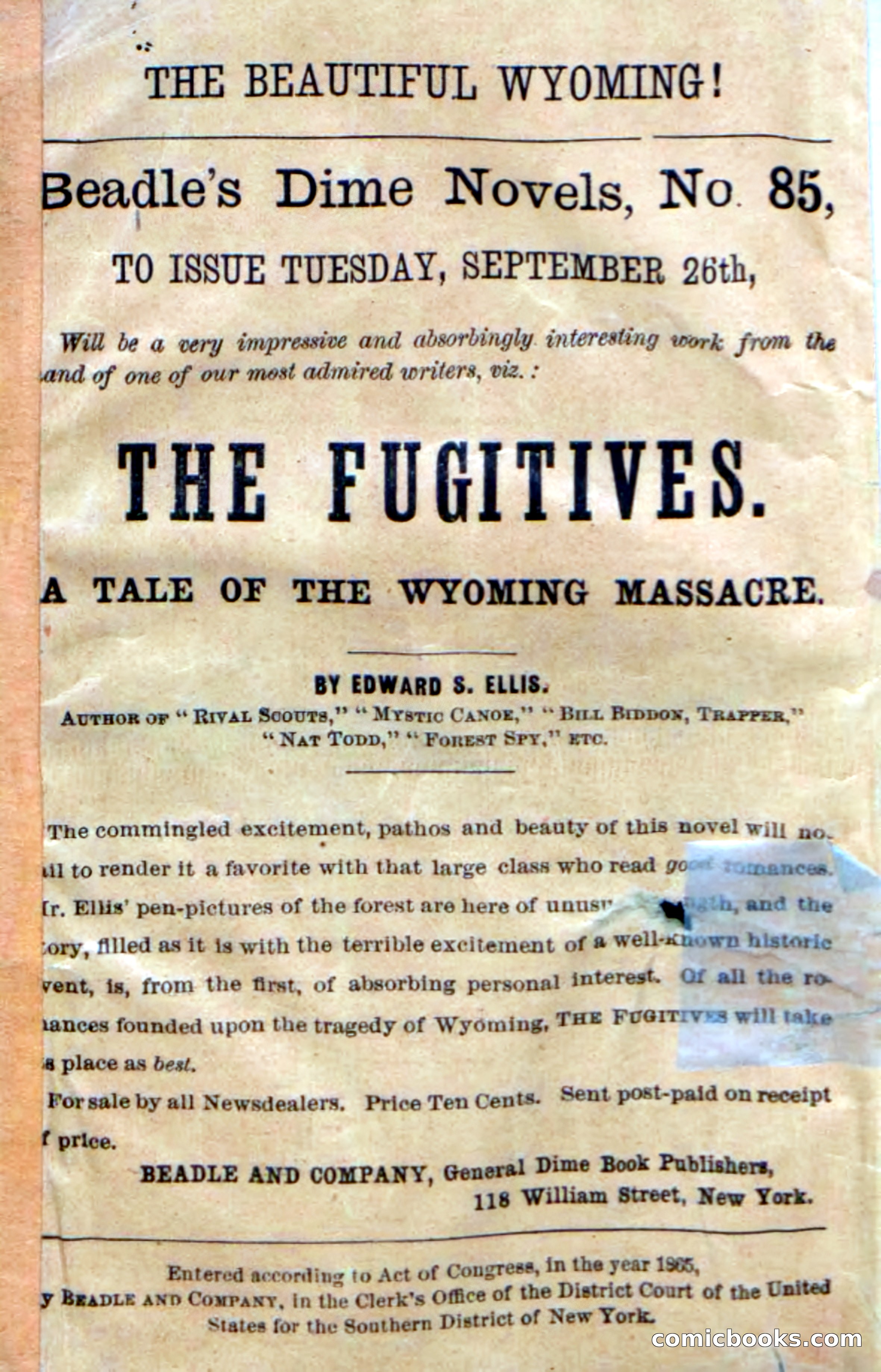 Beadle's Dime Novels No. 22: The Maid of Esopus — page 2 of 100