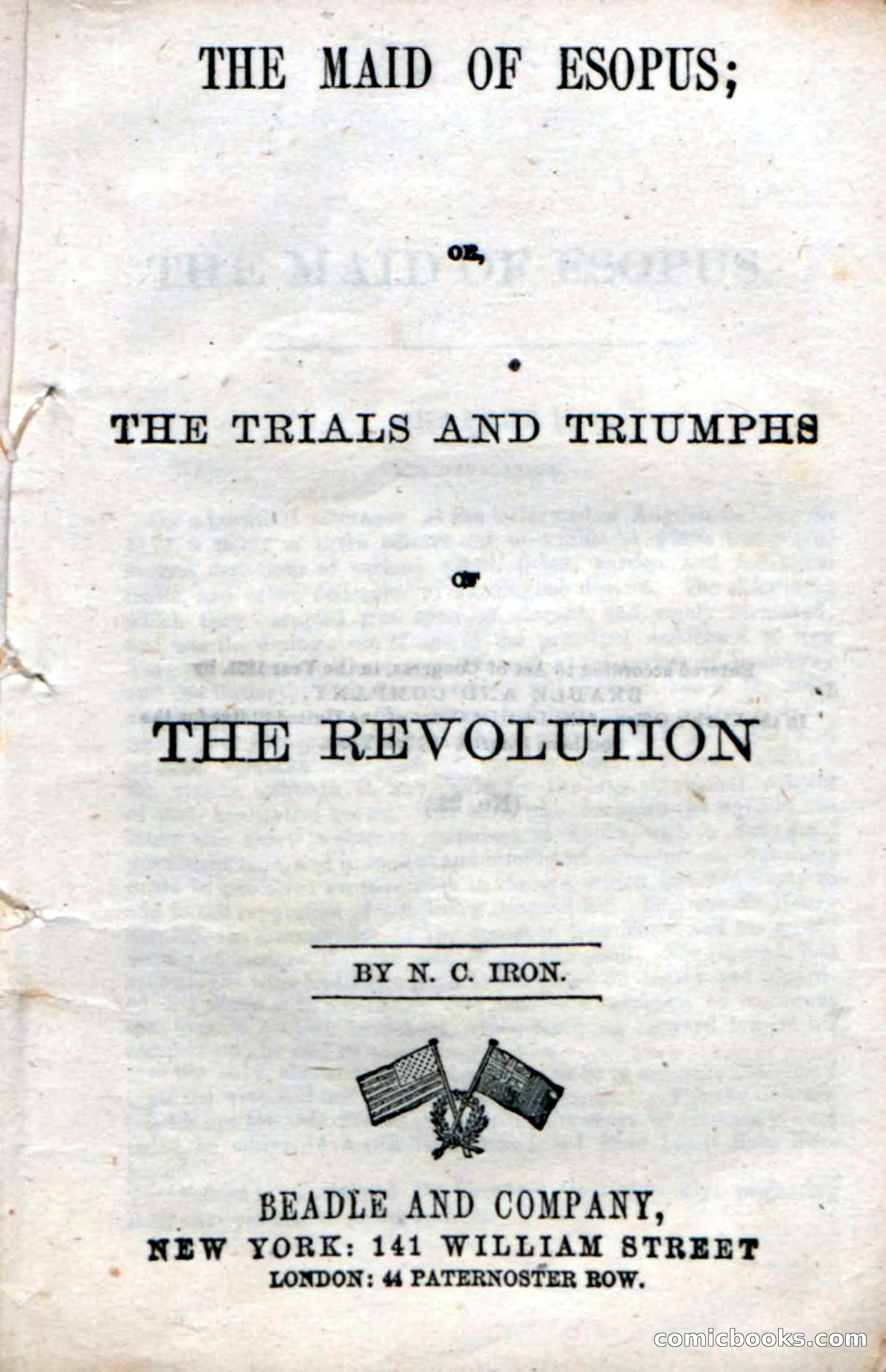 Beadle's Dime Novels No. 22: The Maid of Esopus — page 5 of 100