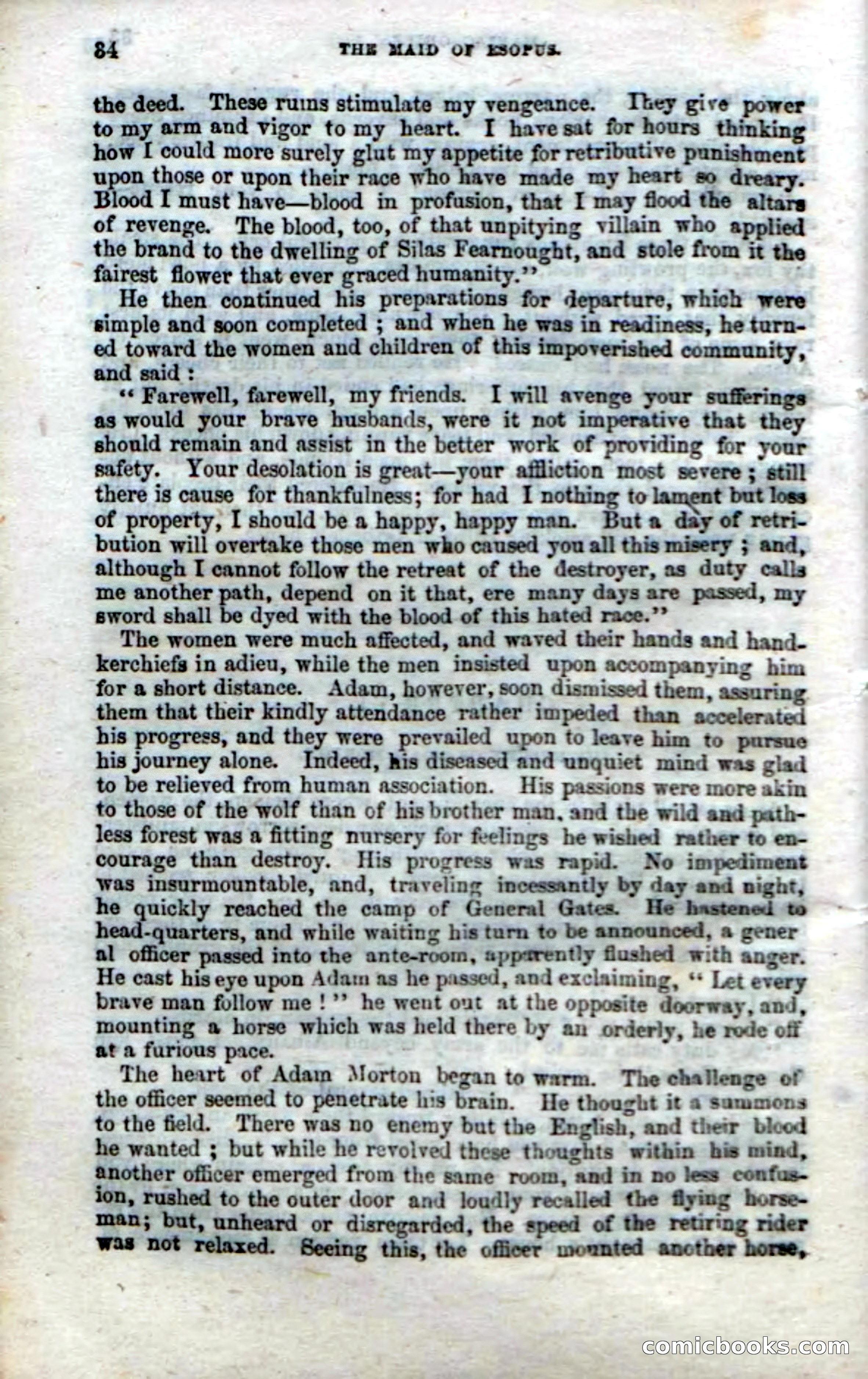 Beadle's Dime Novels No. 22: The Maid of Esopus — page 32 of 100