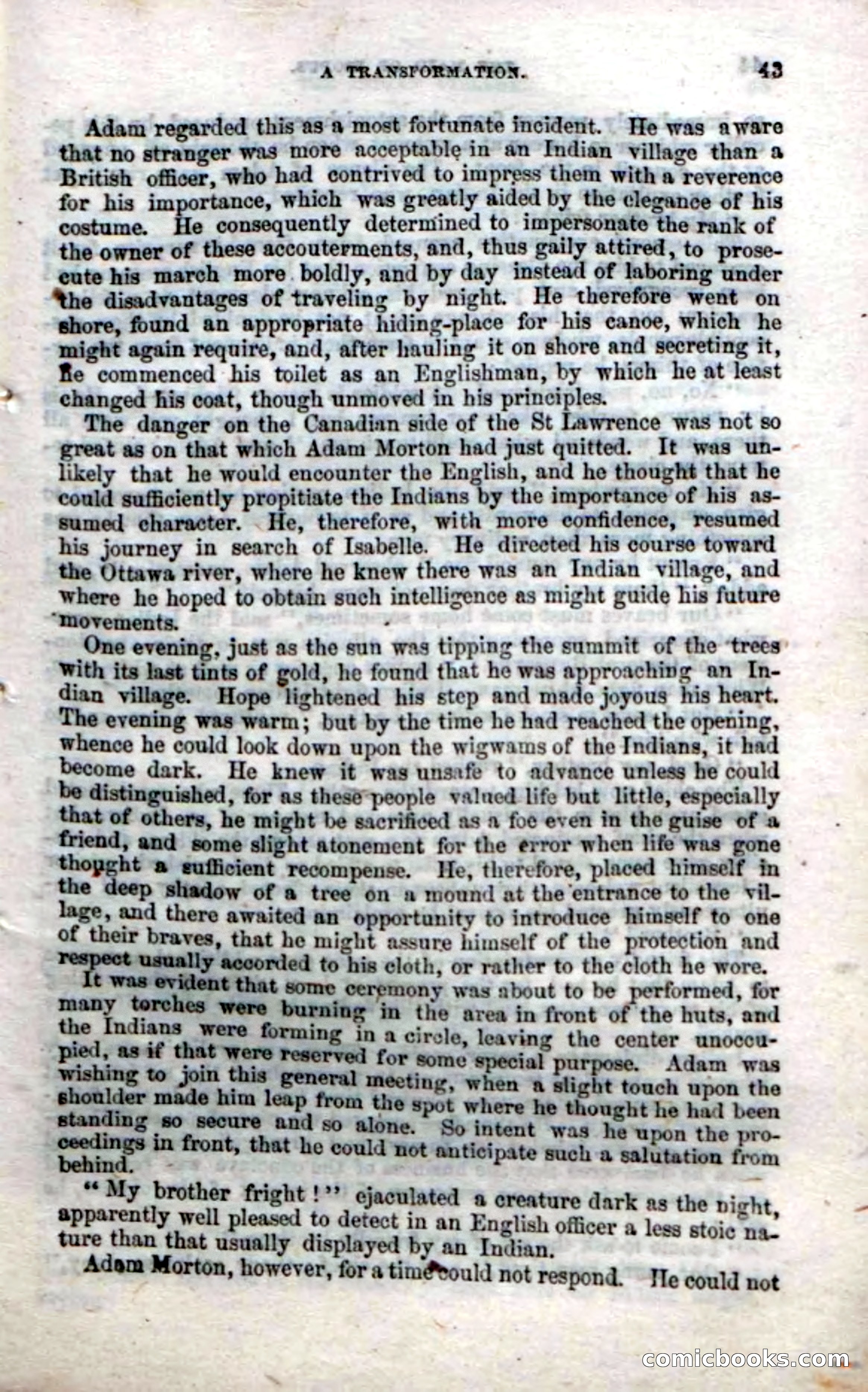 Beadle's Dime Novels No. 22: The Maid of Esopus — page 41 of 100