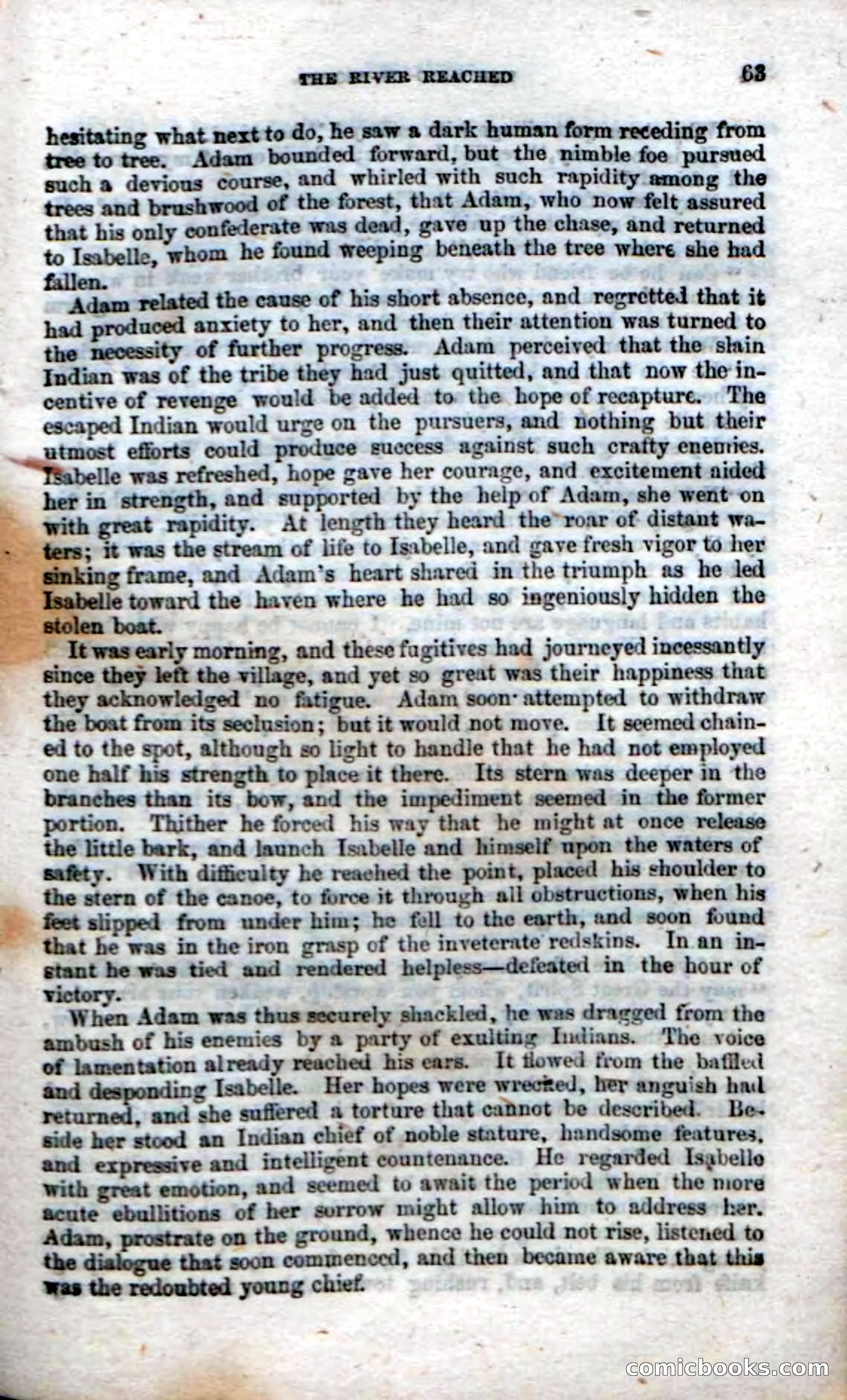 Beadle's Dime Novels No. 22: The Maid of Esopus — page 61 of 100