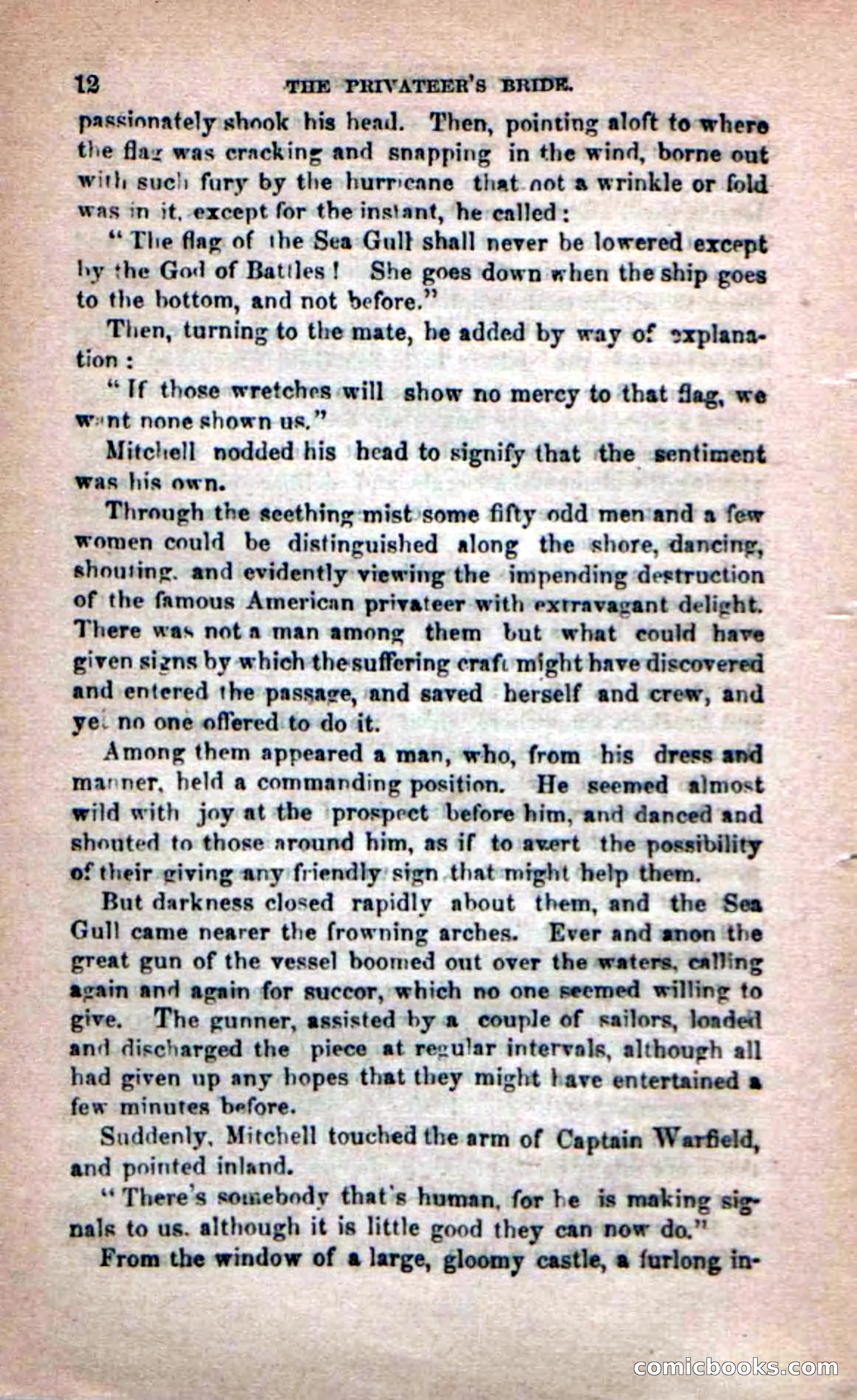Beadle's Dime Novels No. 233: The Privateer's Bride — page 10 of 100
