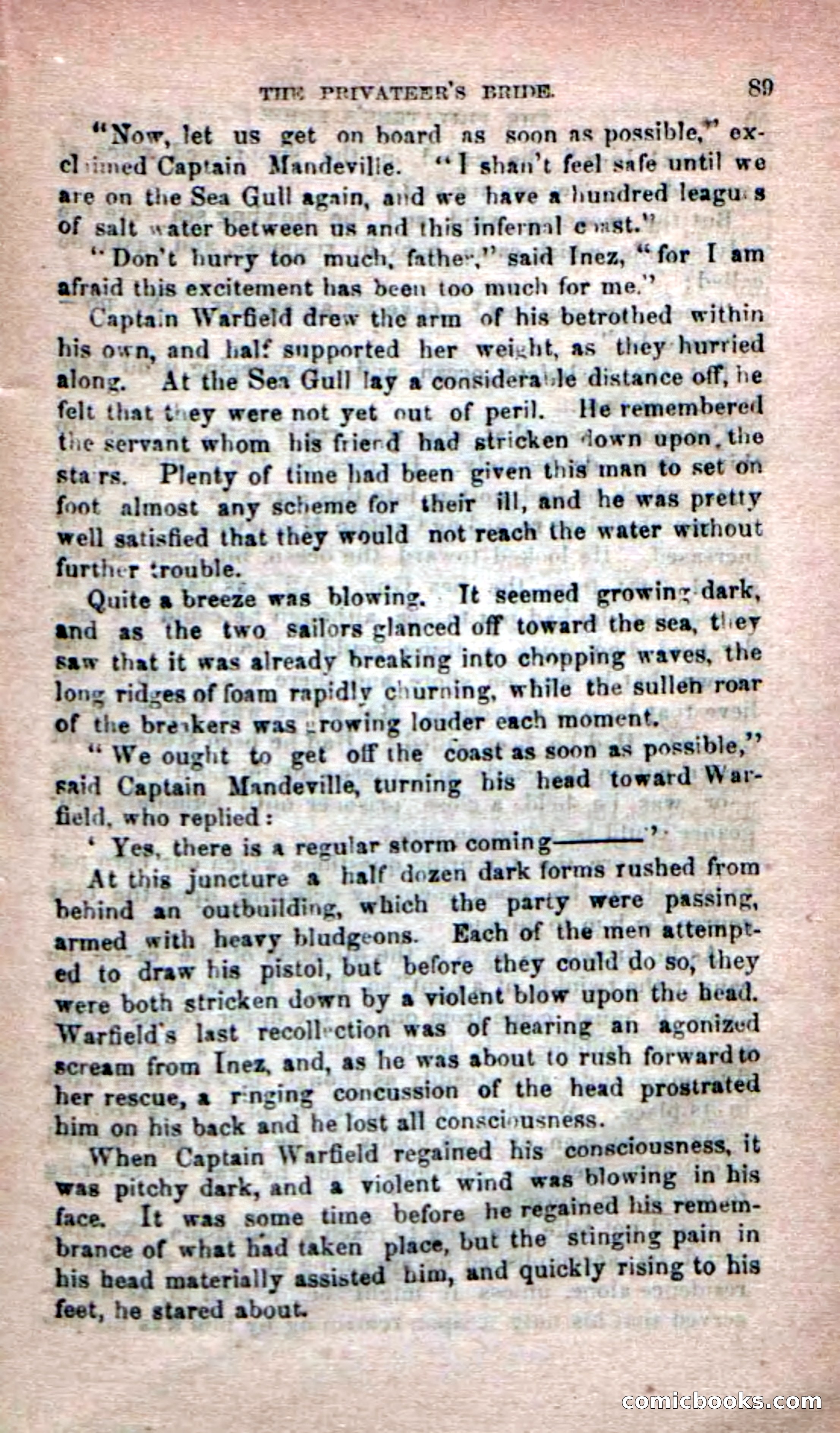 Beadle's Dime Novels No. 233: The Privateer's Bride — page 87 of 100