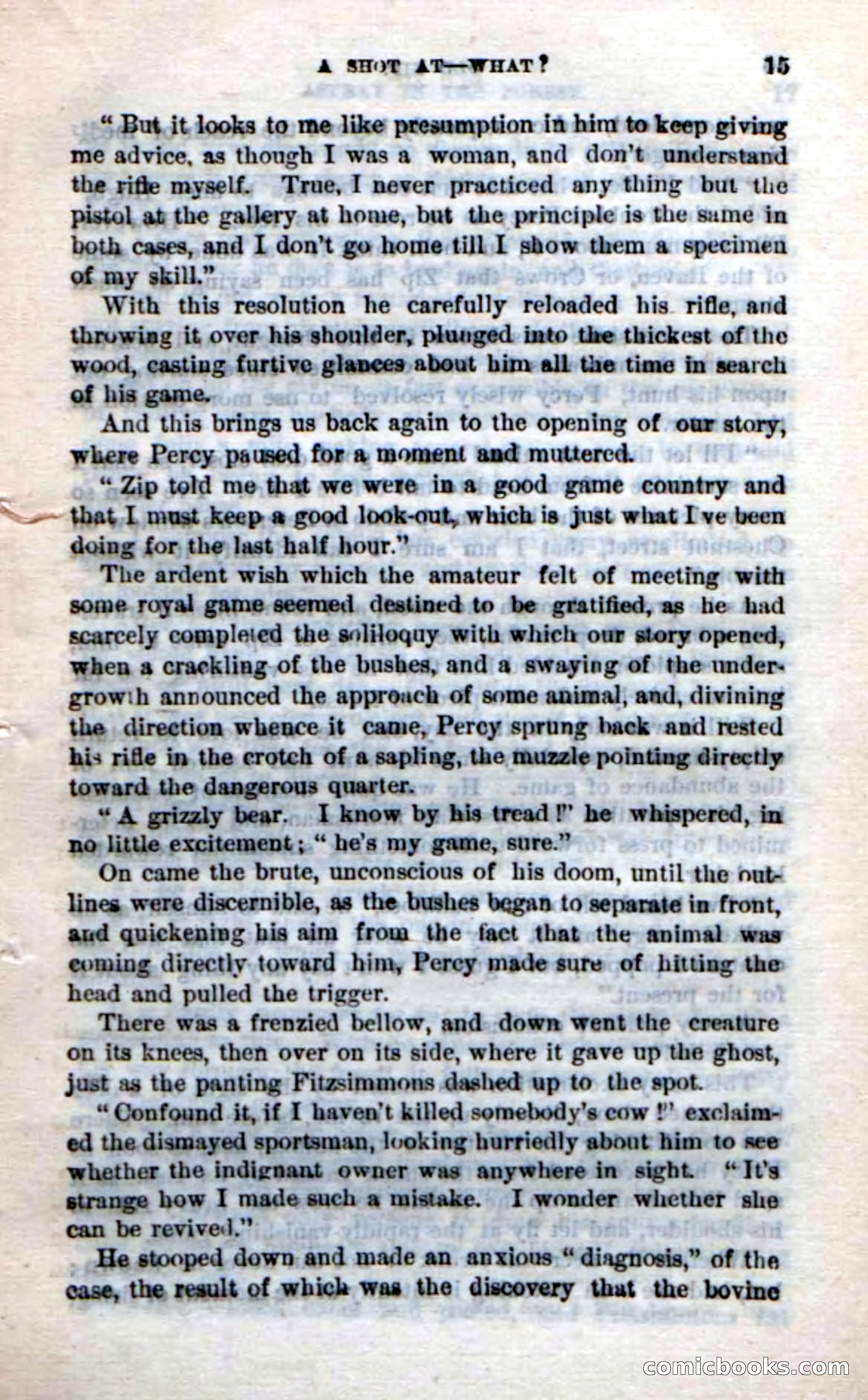 Beadle's Dime Novels No. 239: Old Zip — page 11 of 100