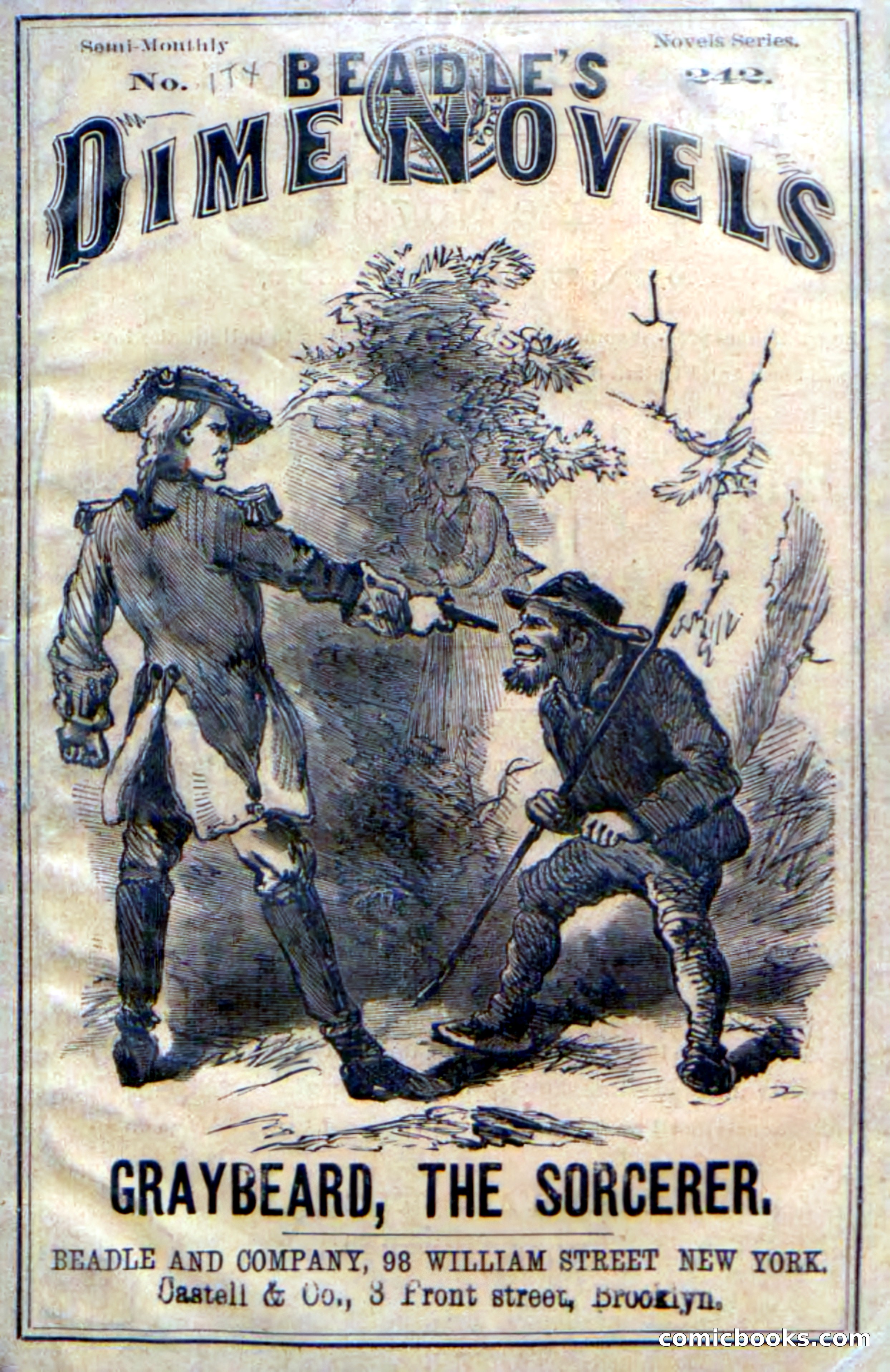 Beadle's Dime Novels No. 242