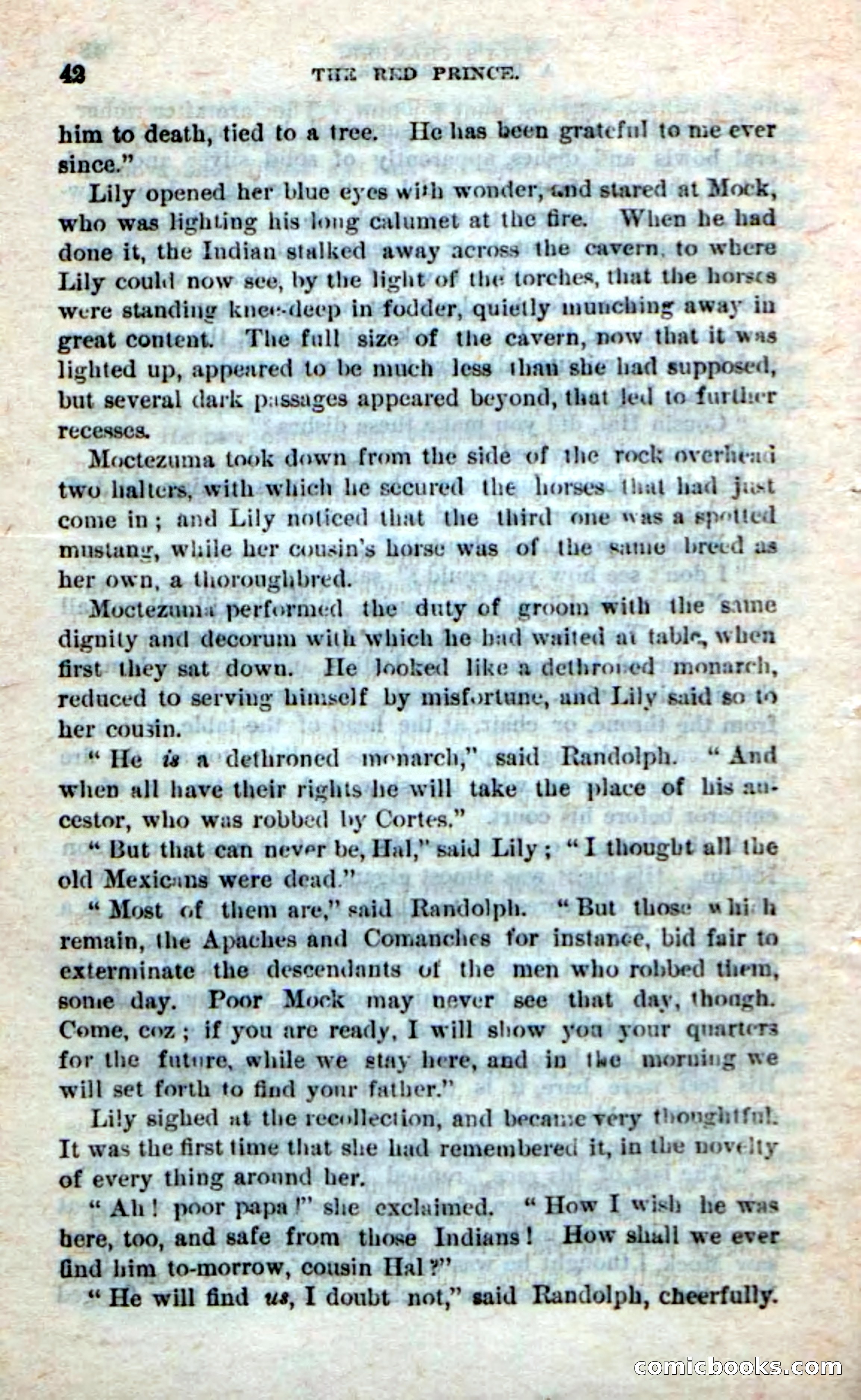 Beadle's Dime Novels No. 245: The Red Prince — page 40 of 100