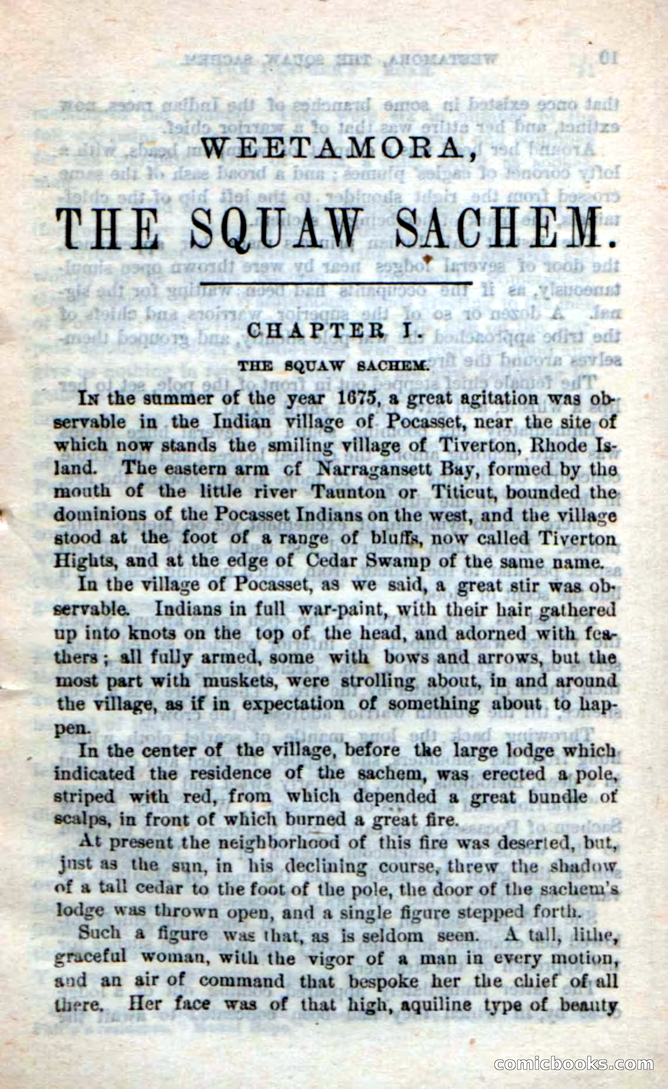 Beadle's Dime Novels No. 249: The Squaw Sachem — page 5 of 100