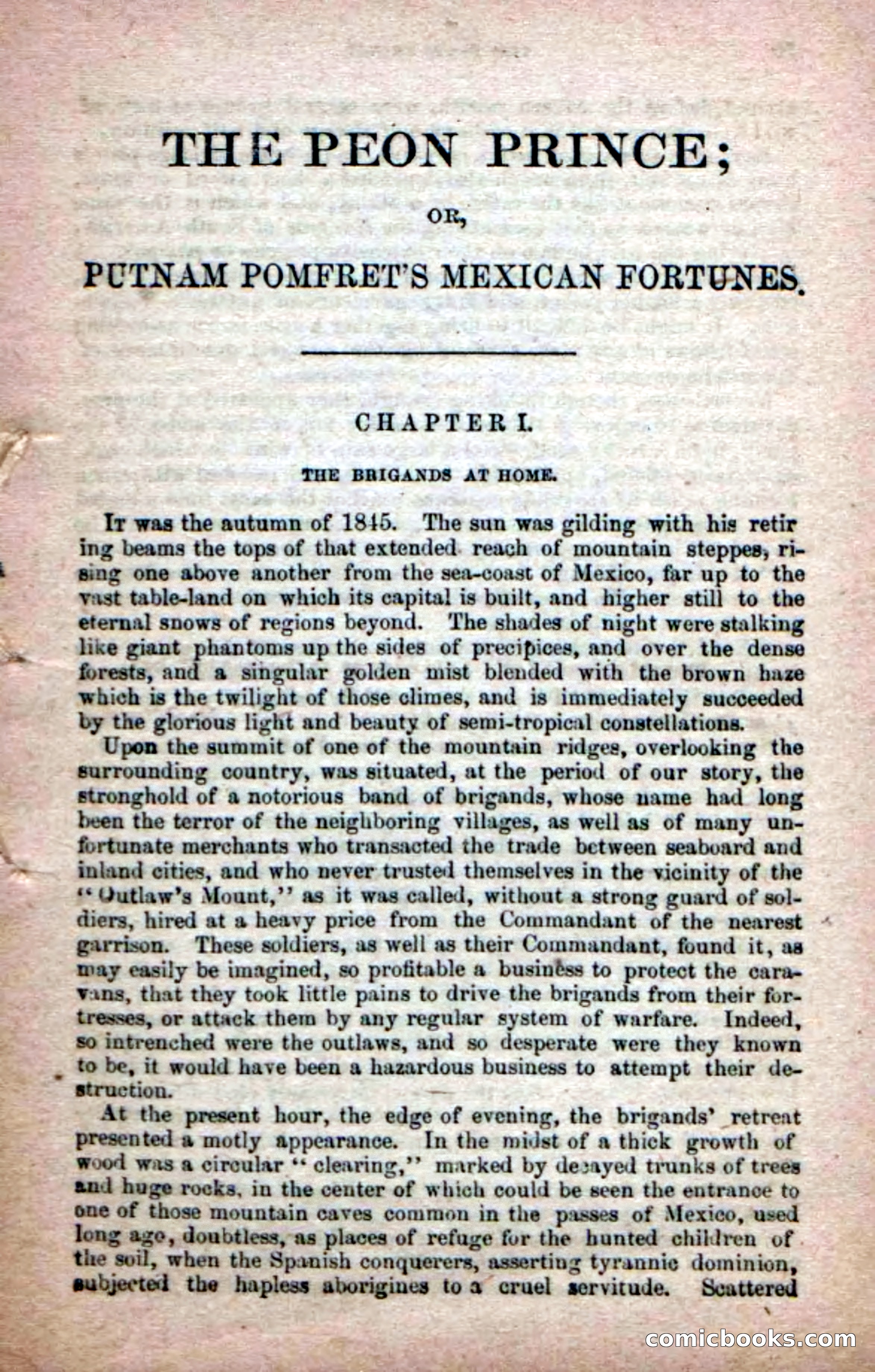The Peon Prince; or, The Yankee Knight Errant — page 7 of 100