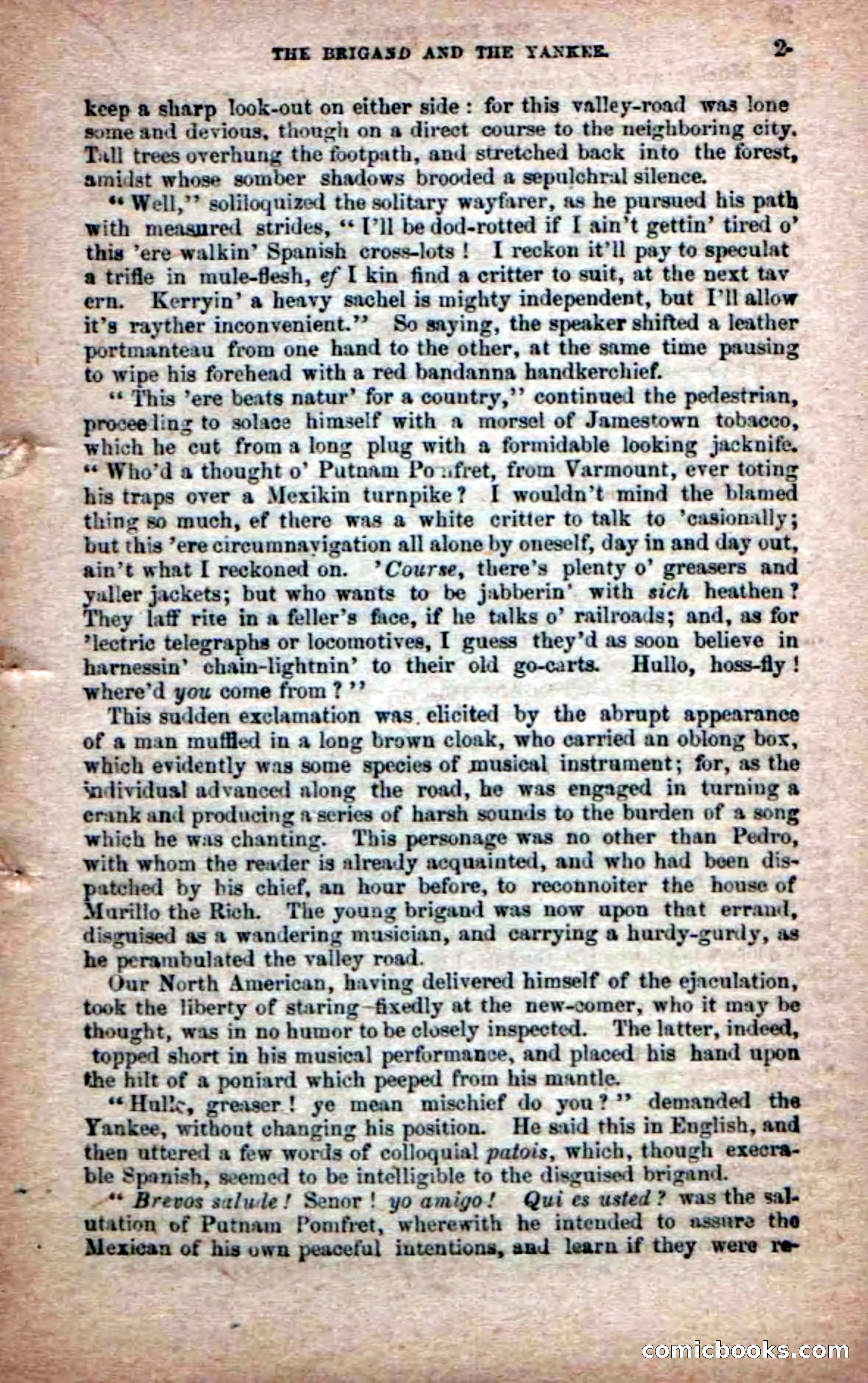 The Peon Prince; or, The Yankee Knight Errant — page 19 of 100