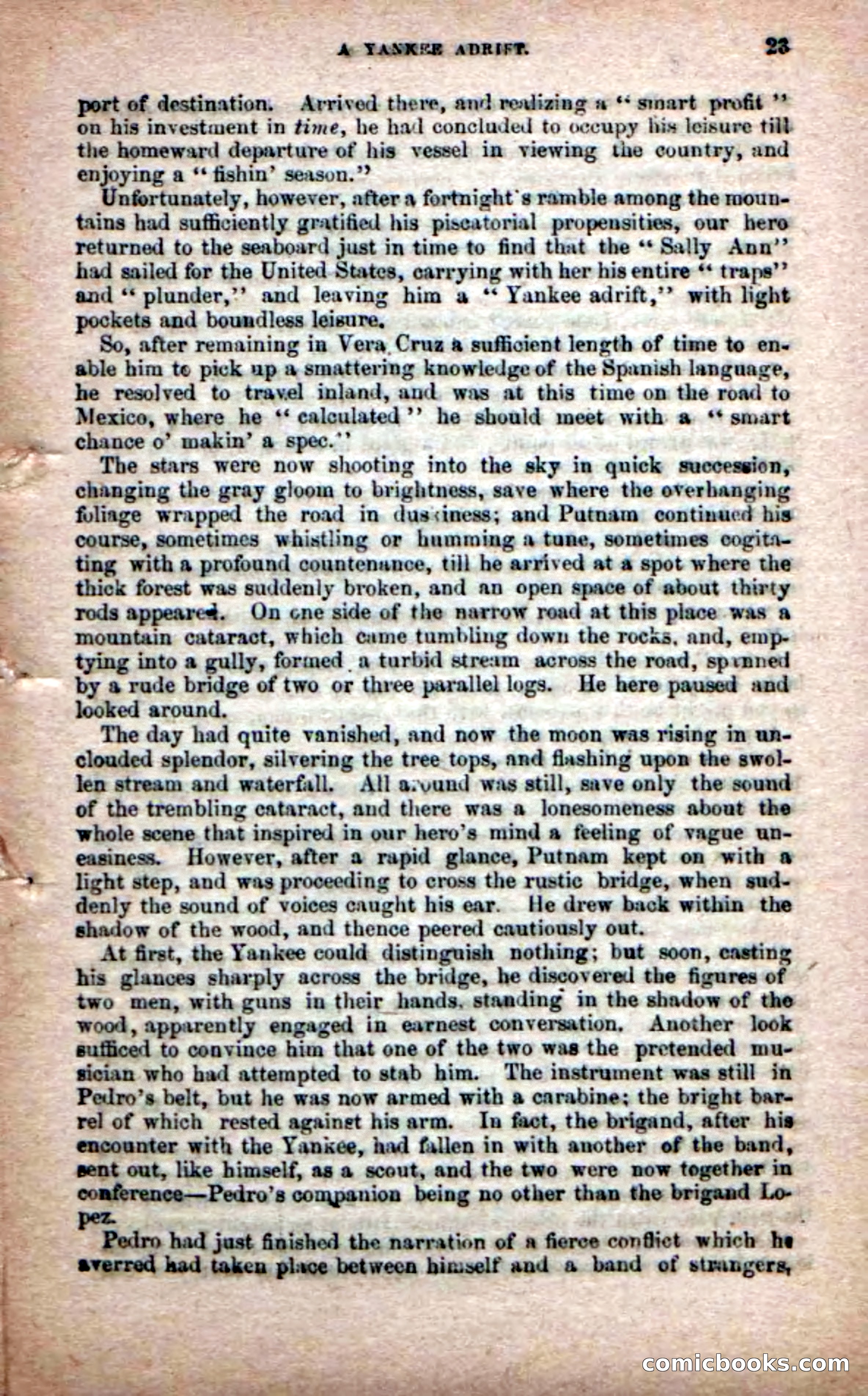 The Peon Prince; or, The Yankee Knight Errant — page 21 of 100