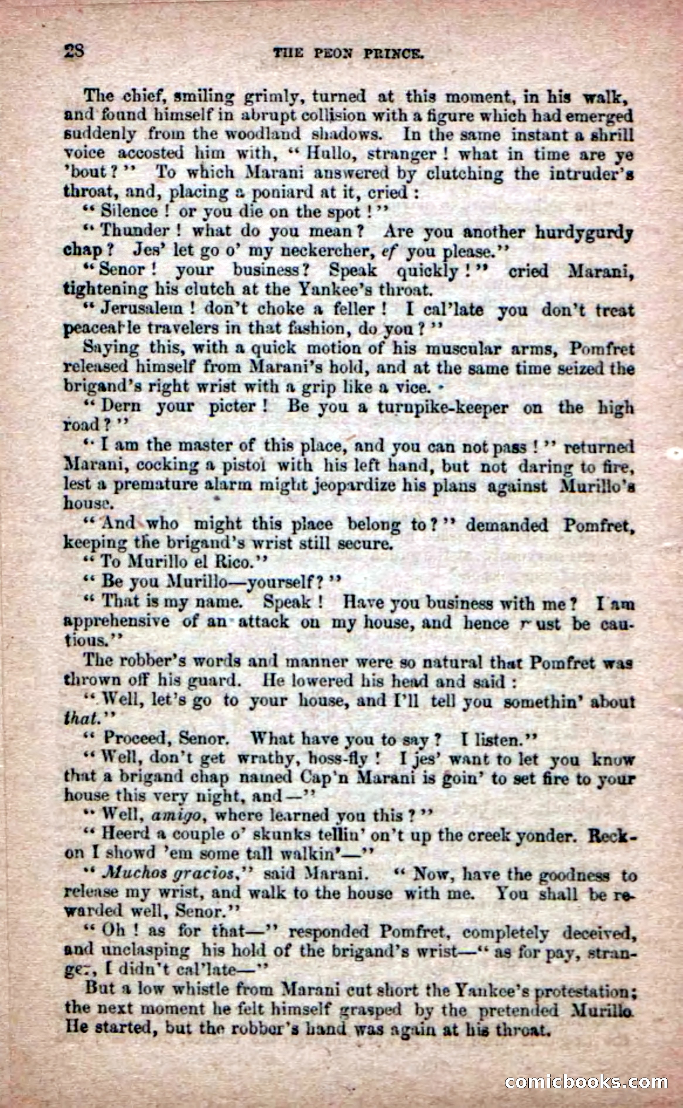 The Peon Prince; or, The Yankee Knight Errant — page 26 of 100