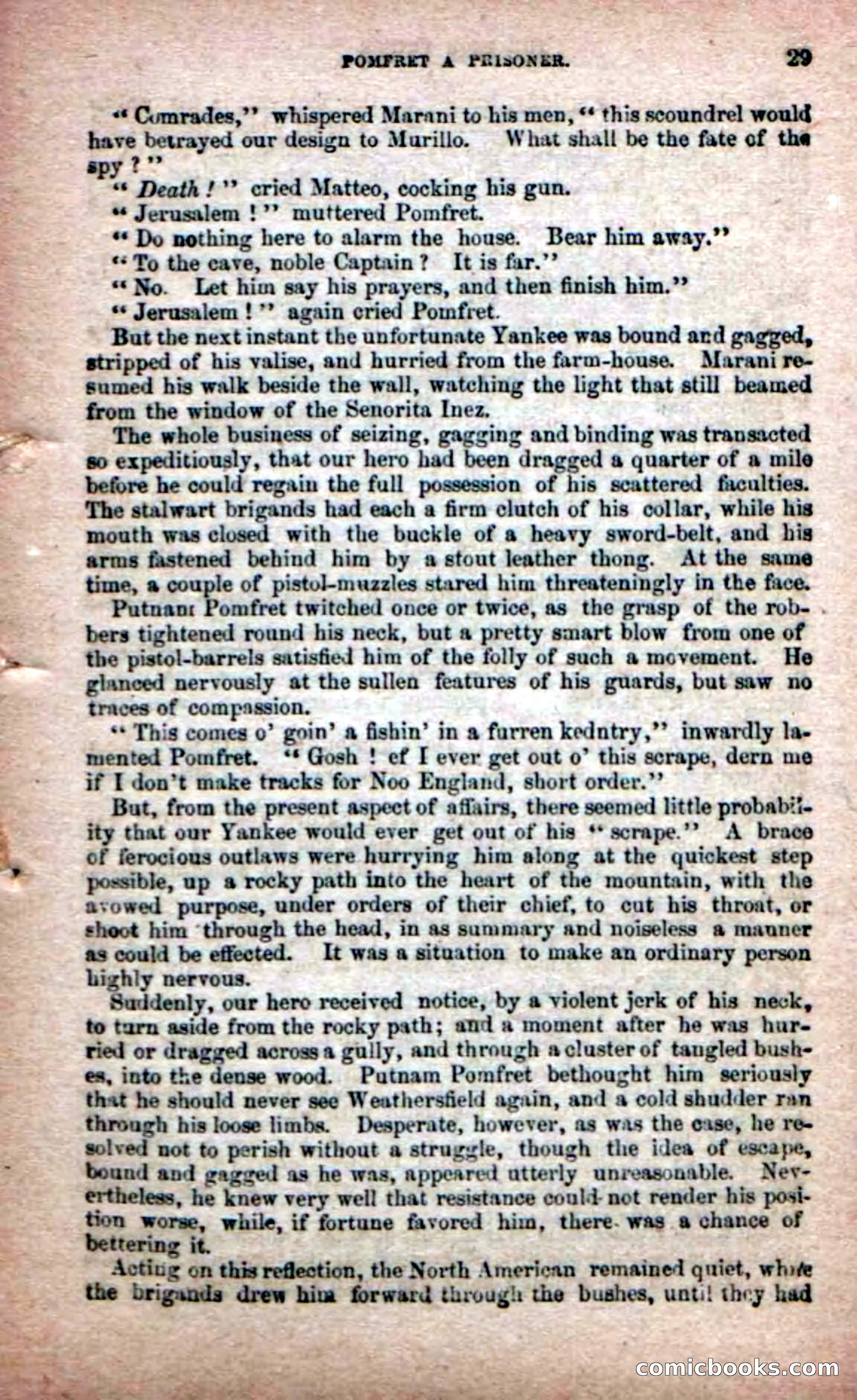 The Peon Prince; or, The Yankee Knight Errant — page 27 of 100