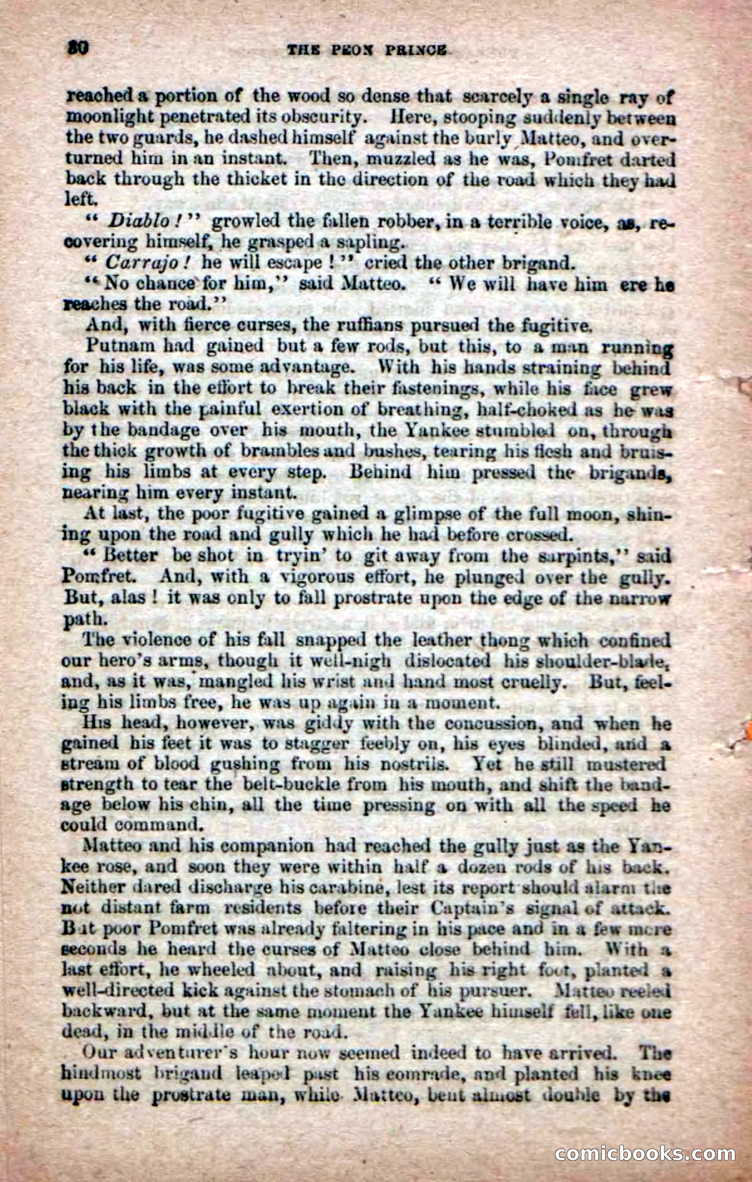 The Peon Prince; or, The Yankee Knight Errant — page 28 of 100