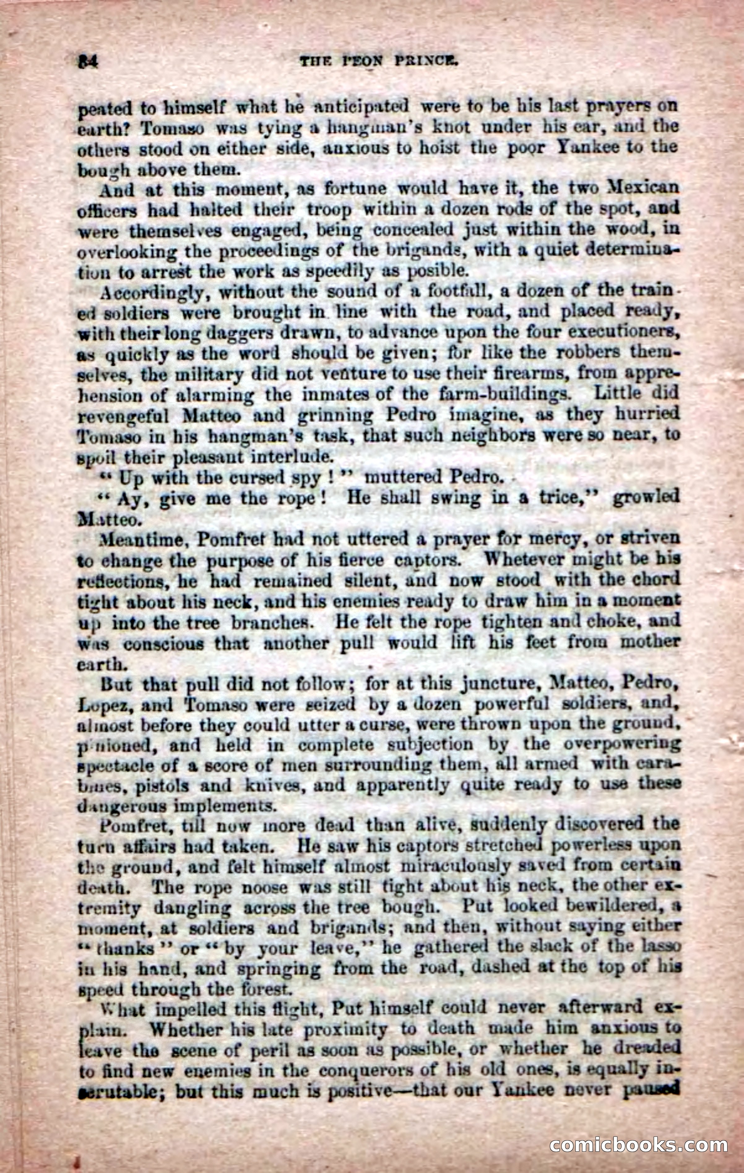 The Peon Prince; or, The Yankee Knight Errant — page 32 of 100