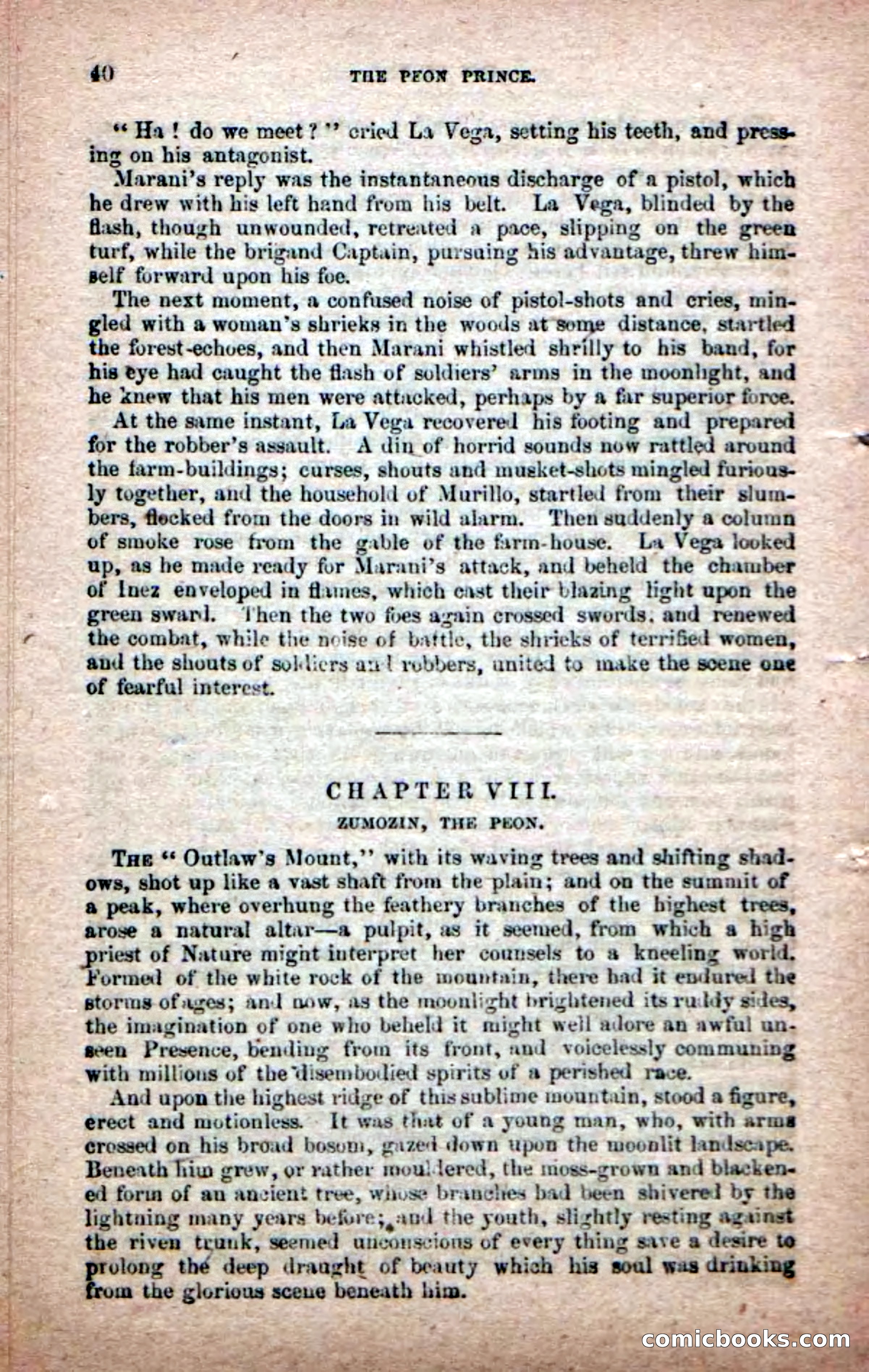 The Peon Prince; or, The Yankee Knight Errant — page 38 of 100
