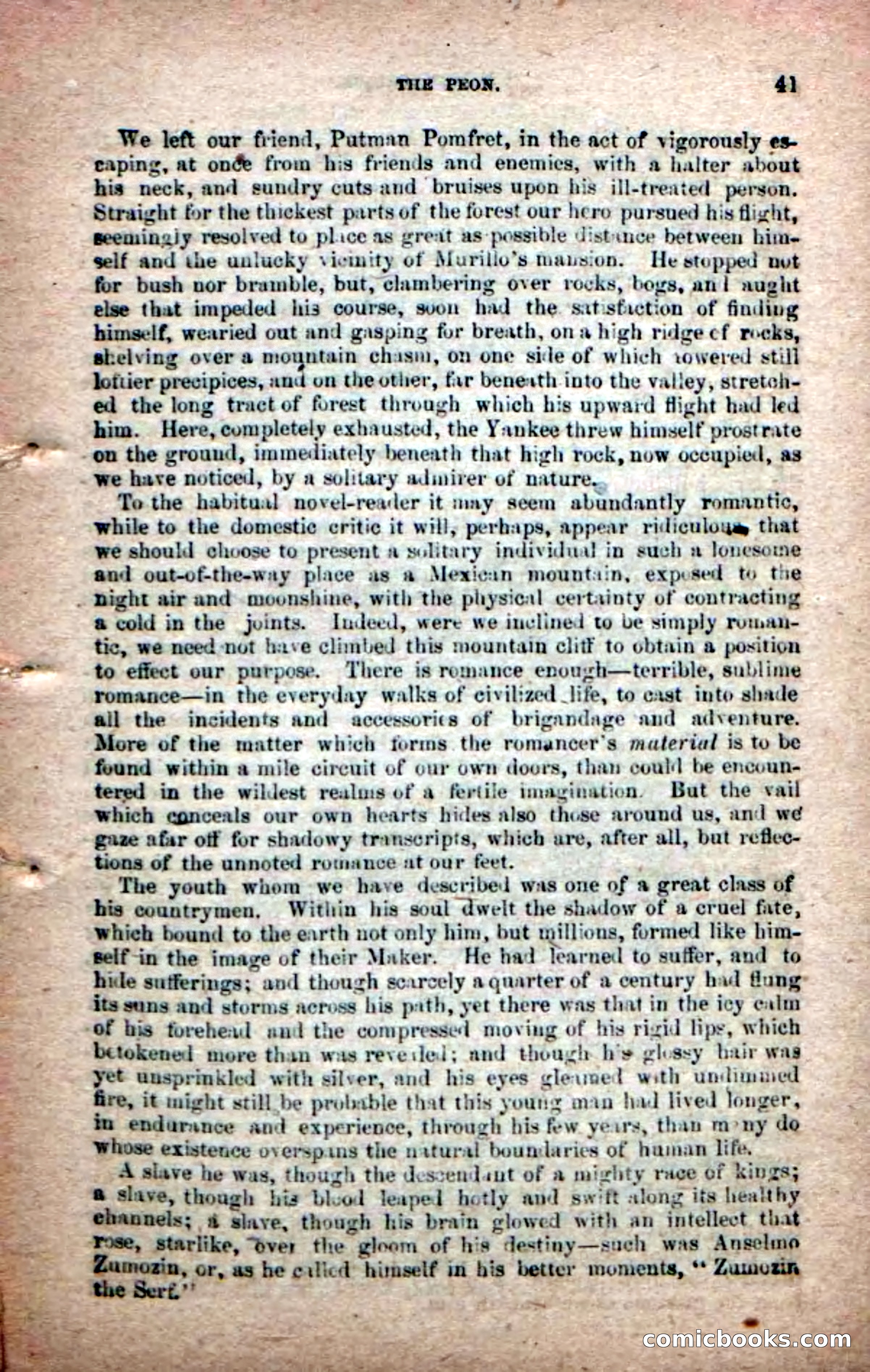 The Peon Prince; or, The Yankee Knight Errant — page 39 of 100