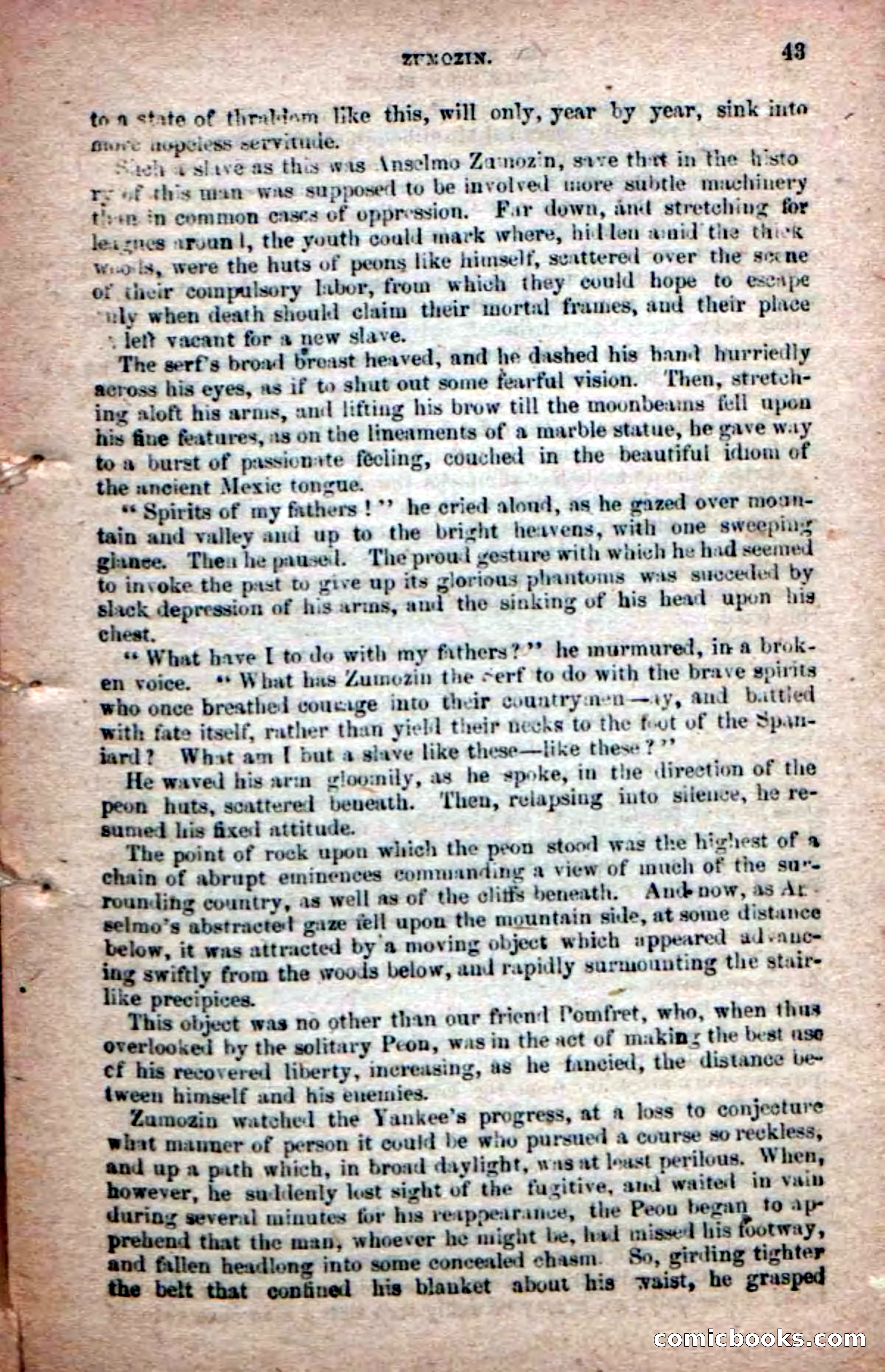 The Peon Prince; or, The Yankee Knight Errant — page 41 of 100