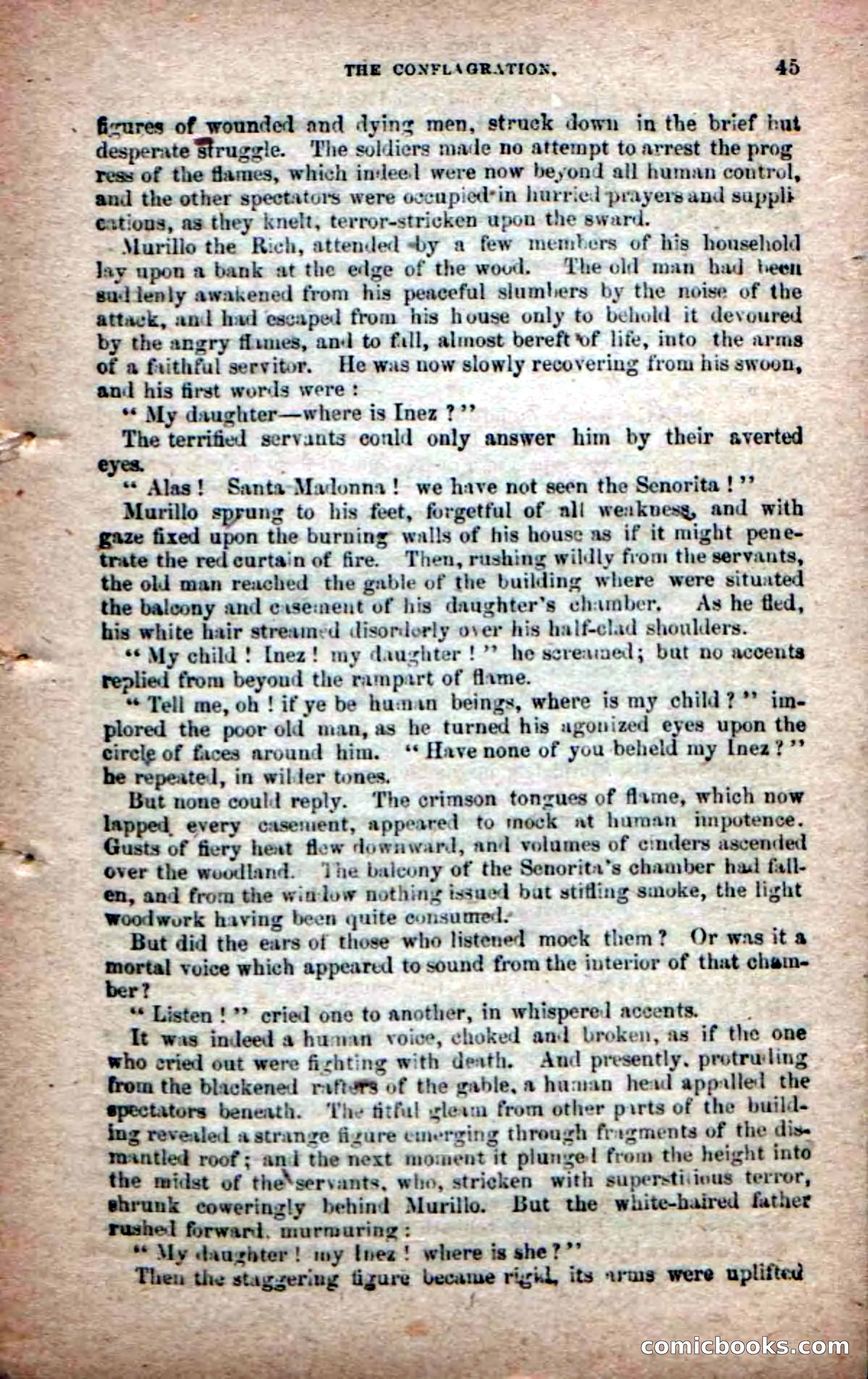 The Peon Prince; or, The Yankee Knight Errant — page 43 of 100