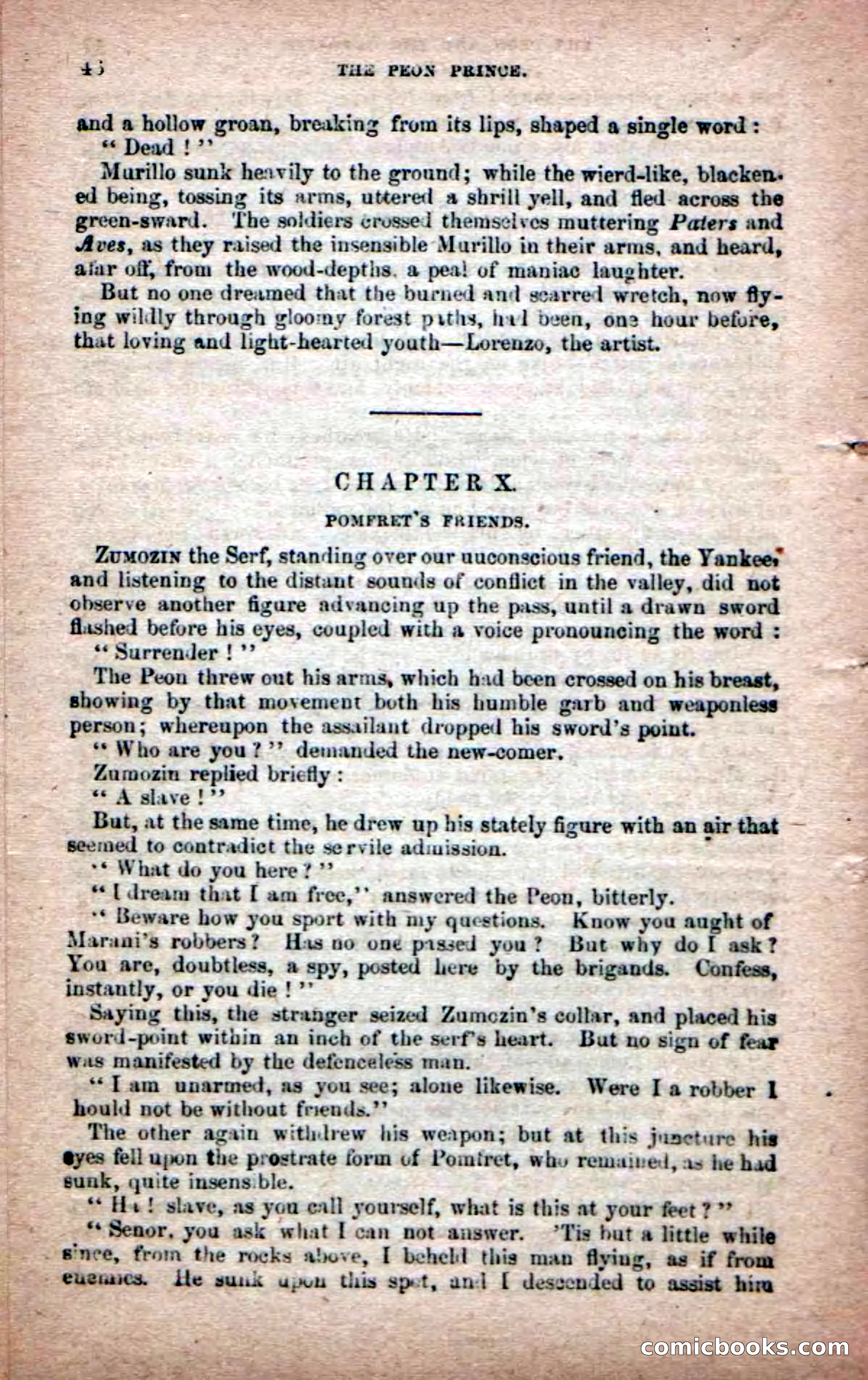 The Peon Prince; or, The Yankee Knight Errant — page 44 of 100