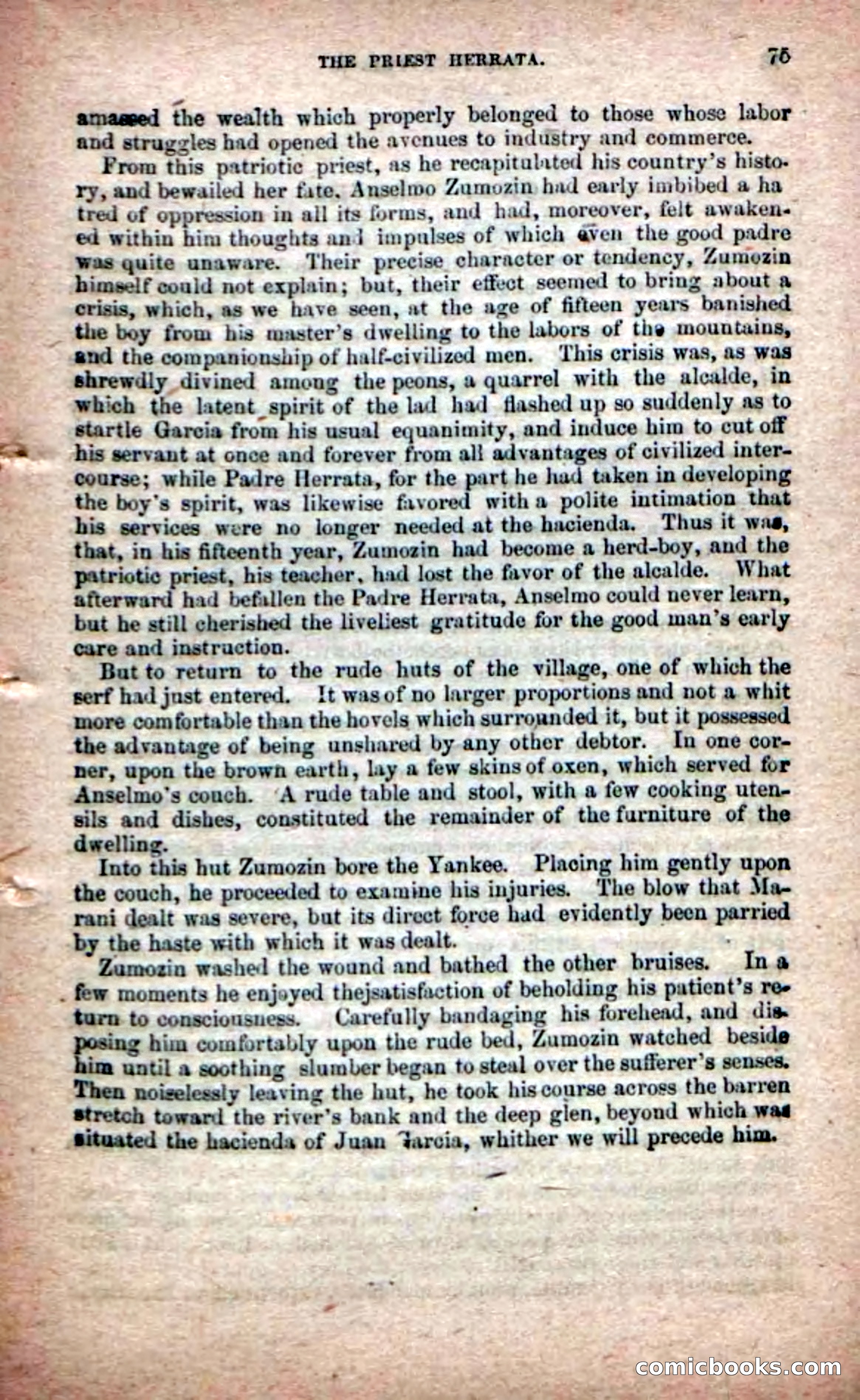 The Peon Prince; or, The Yankee Knight Errant — page 73 of 100