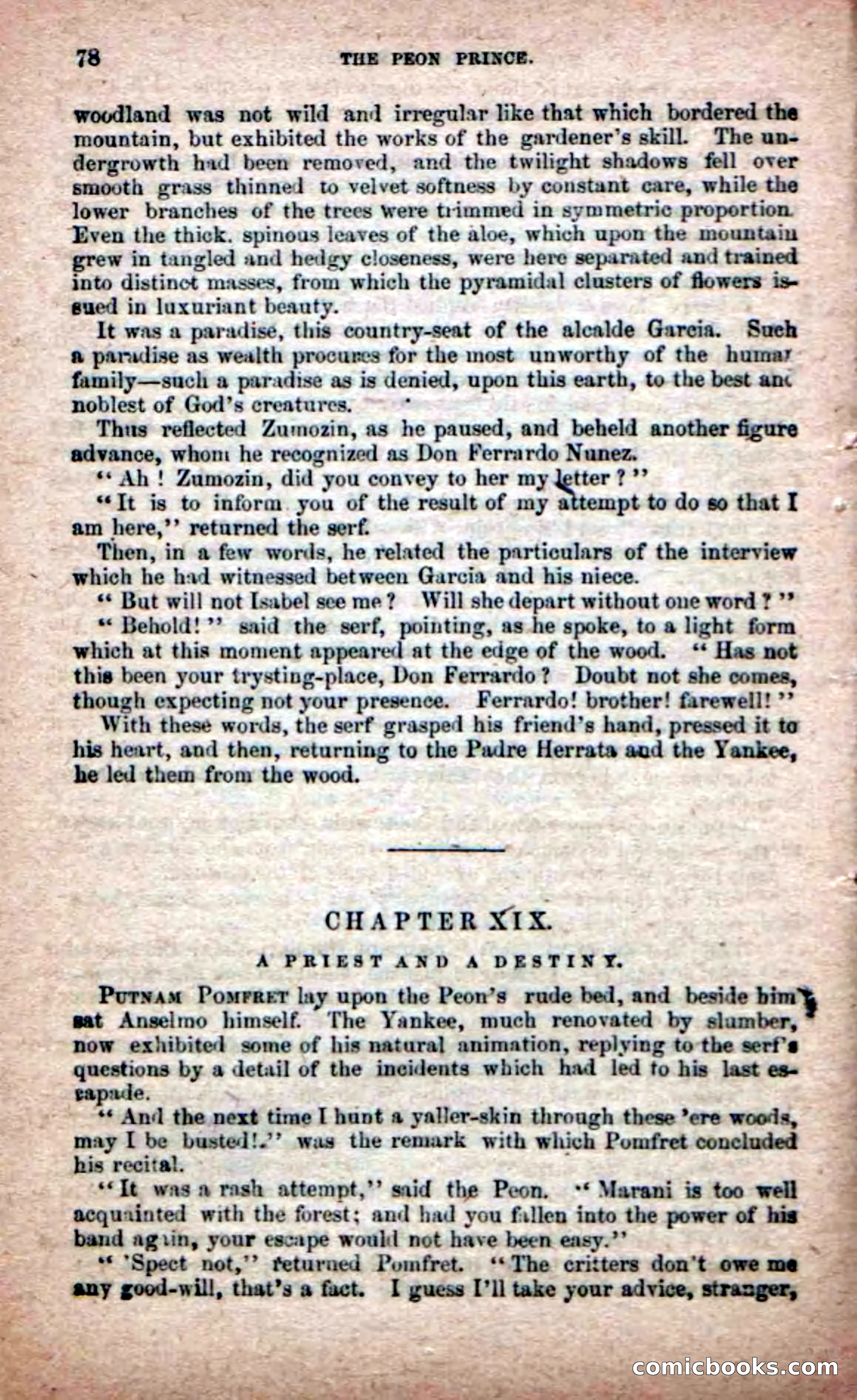 The Peon Prince; or, The Yankee Knight Errant — page 76 of 100