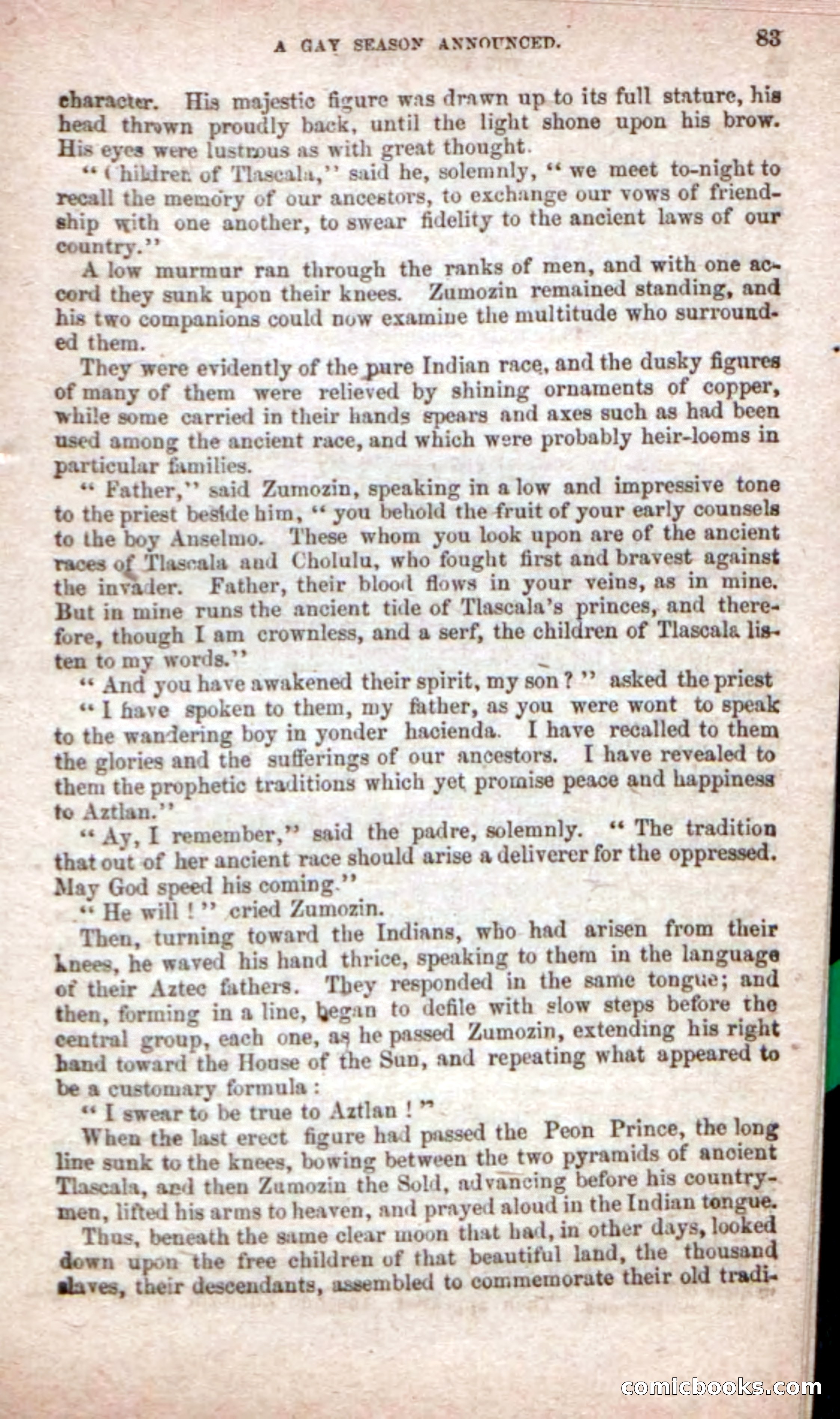 The Peon Prince; or, The Yankee Knight Errant — page 81 of 100