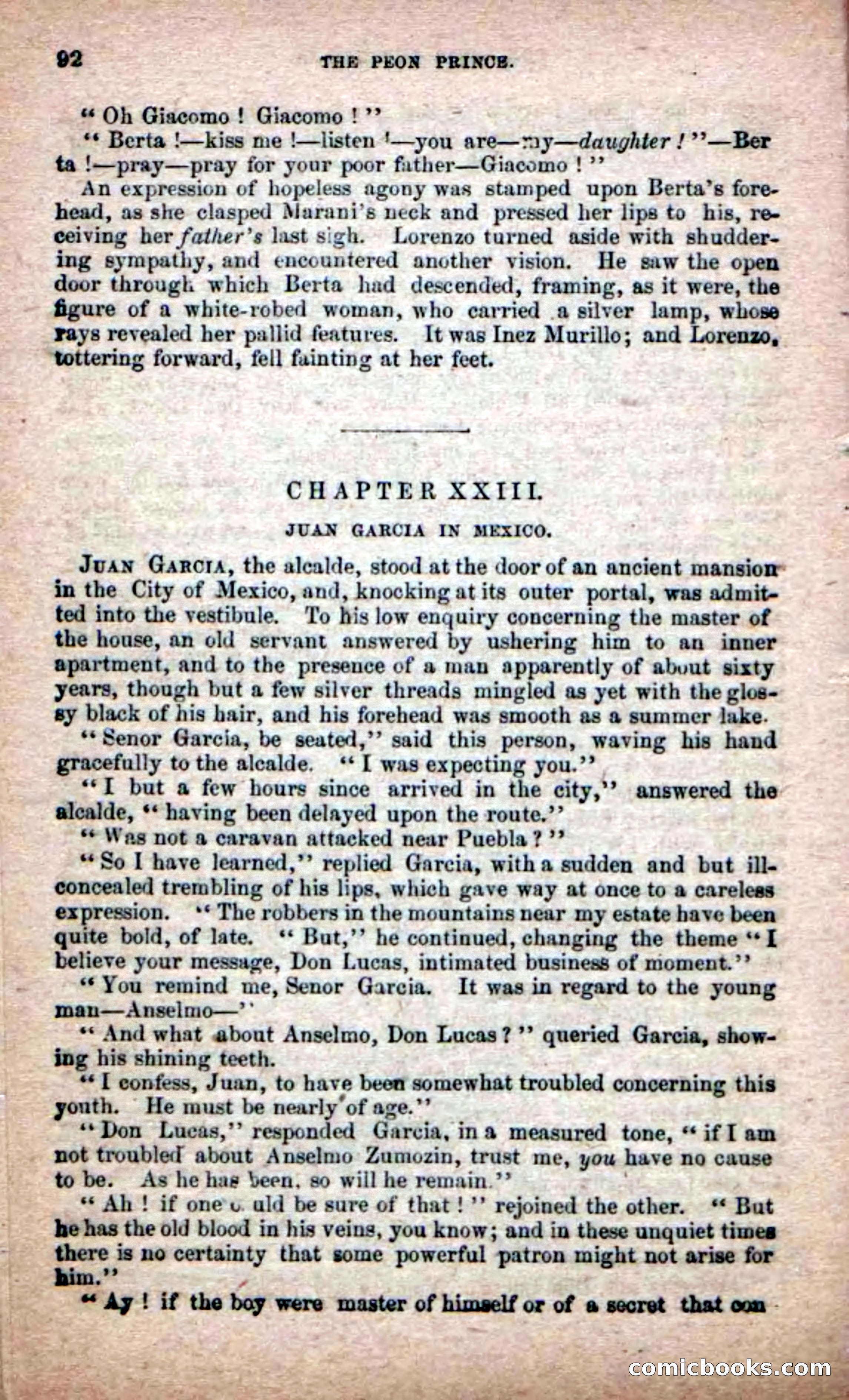 The Peon Prince; or, The Yankee Knight Errant — page 90 of 100