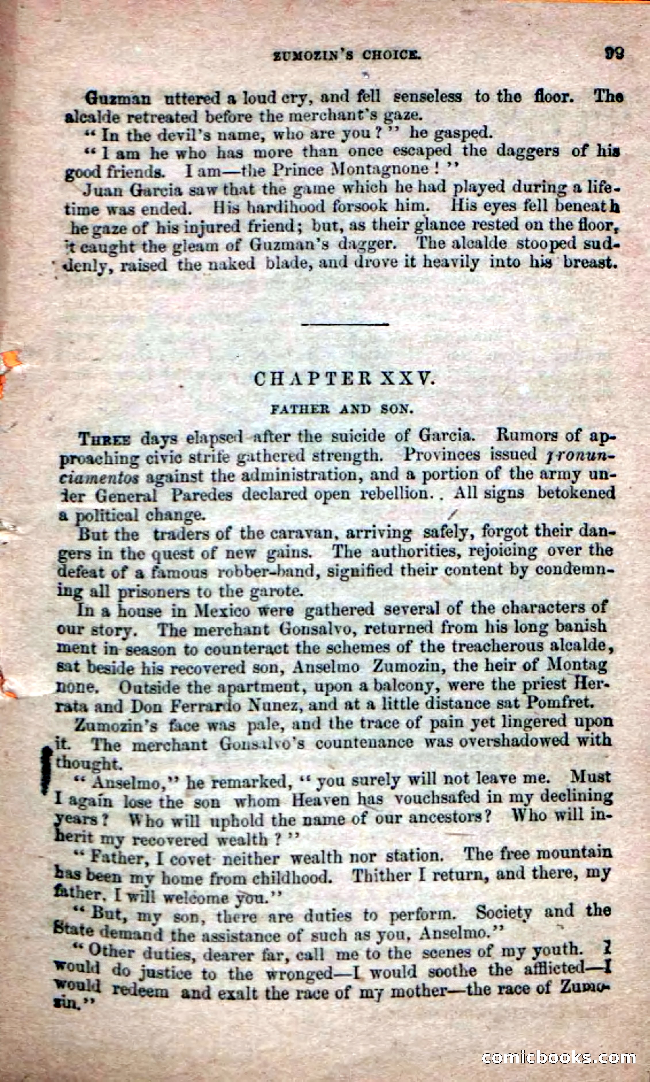 The Peon Prince; or, The Yankee Knight Errant — page 97 of 100