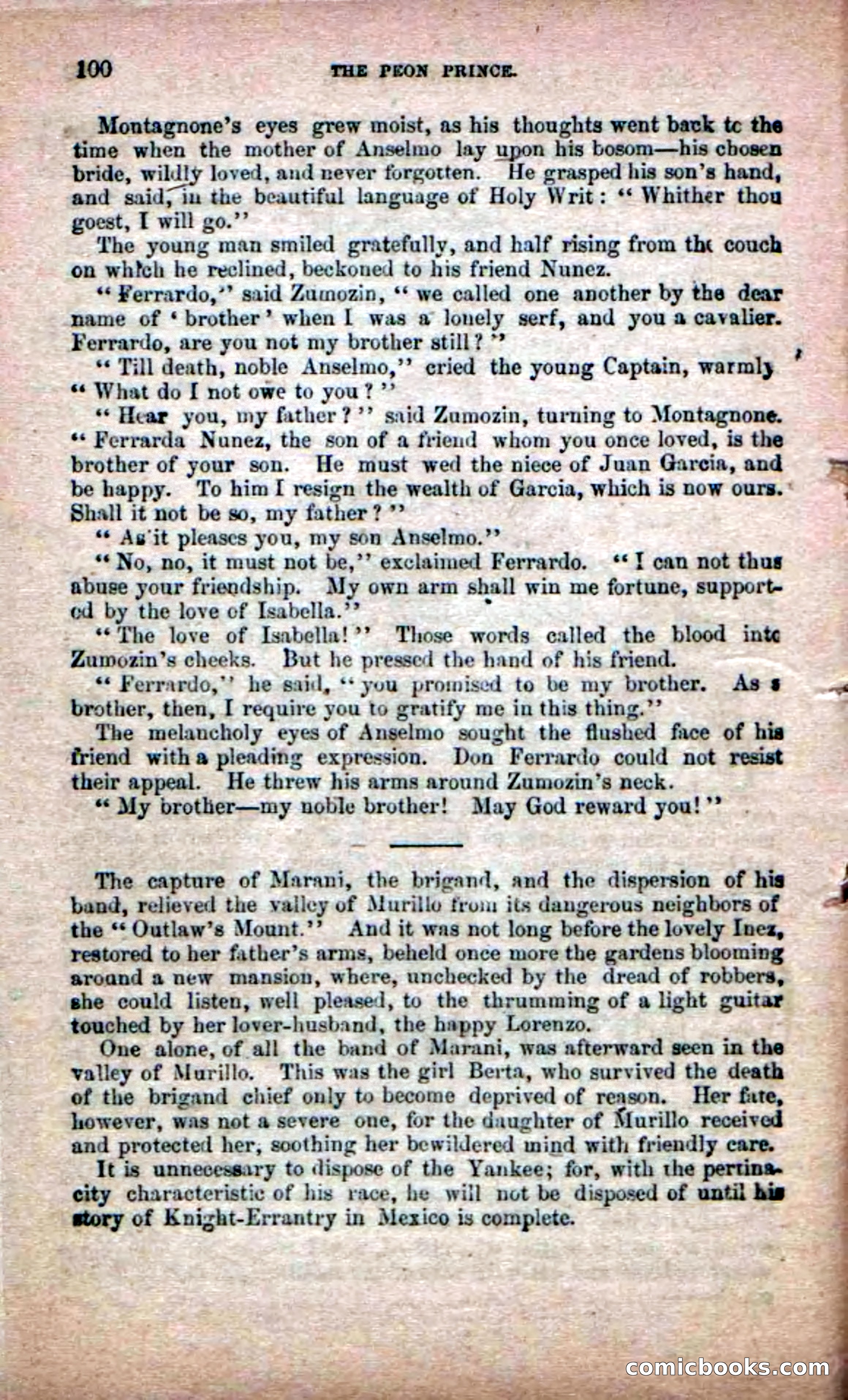 The Peon Prince; or, The Yankee Knight Errant — page 98 of 100