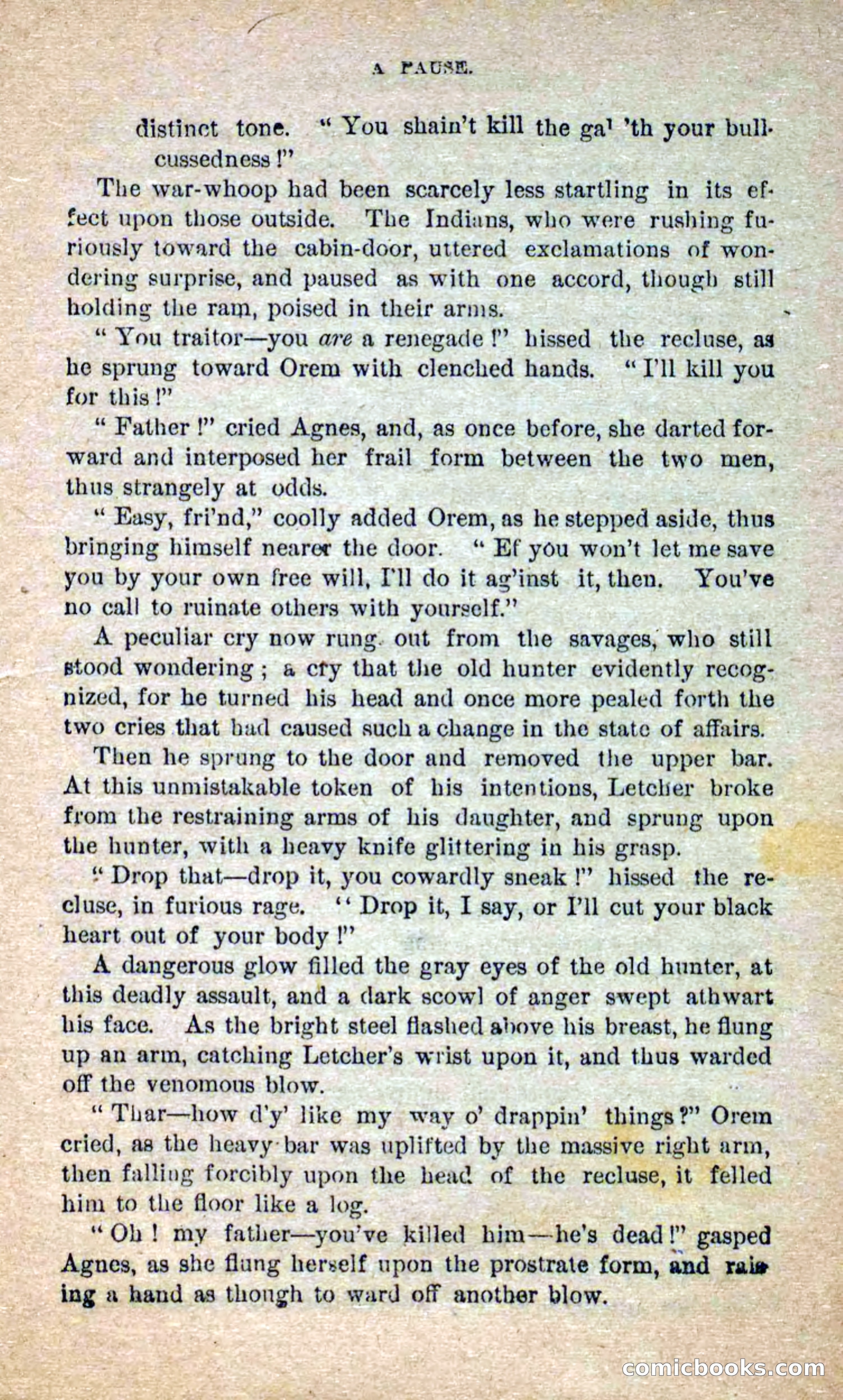 Beadle's Dime Novels No. 250: The Border Renegade — page 25 of 72