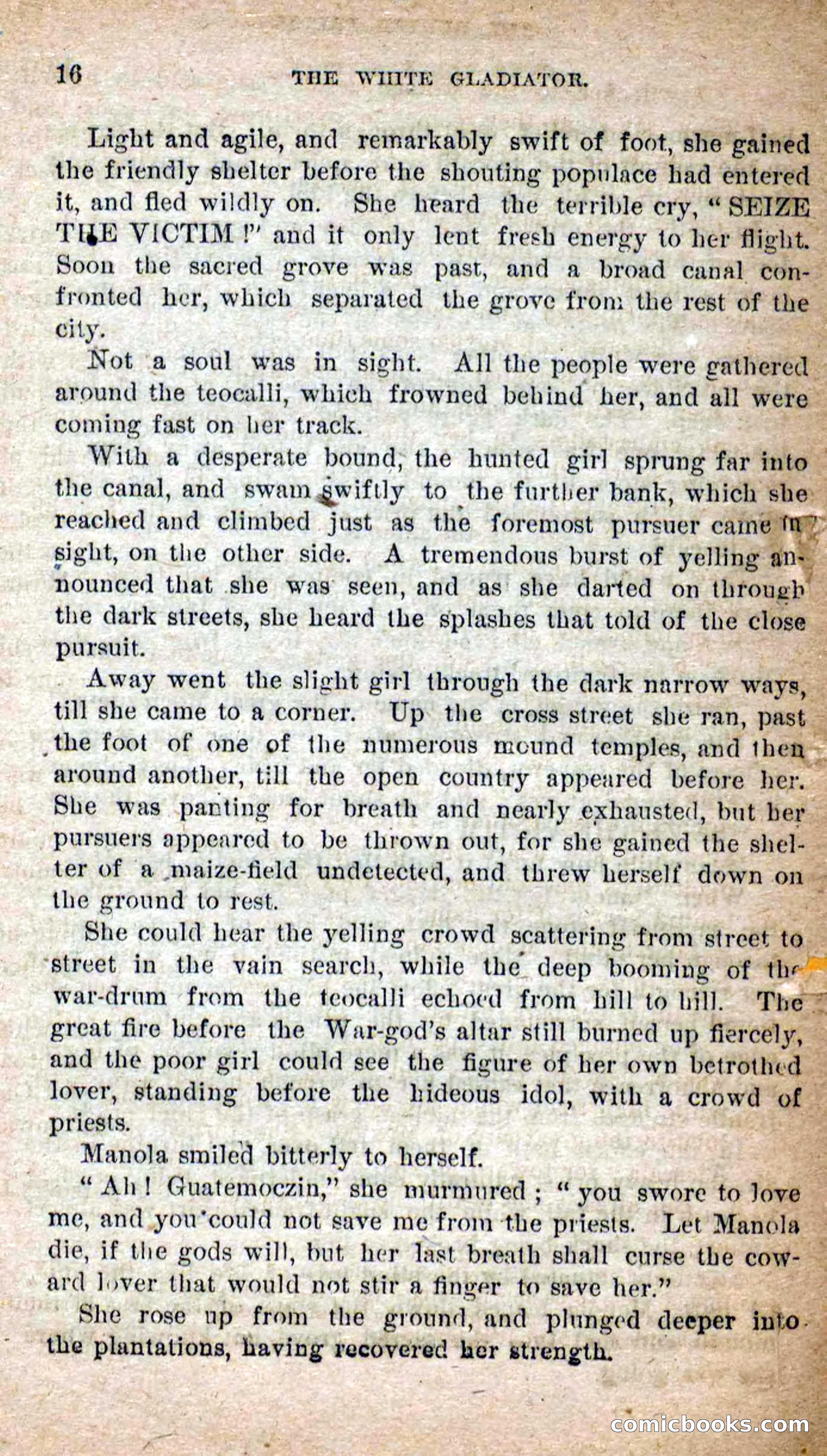 Beadle's Dime Novels No. 253: The White Gladiator — page 12 of 100